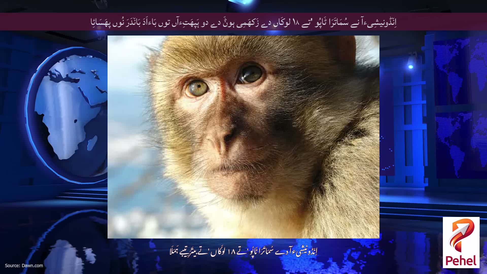 اِن٘ڈونیشِیءآ نے سُمَاتَرَا ٹَاپُو 'تے ۱۸ لوکَاں دے زَکھَمِی ہوݨَ دے دو ہَپھَتِءآں توں بَاءاَدَ بَان٘دَرَ نُوں پھَسَائِا