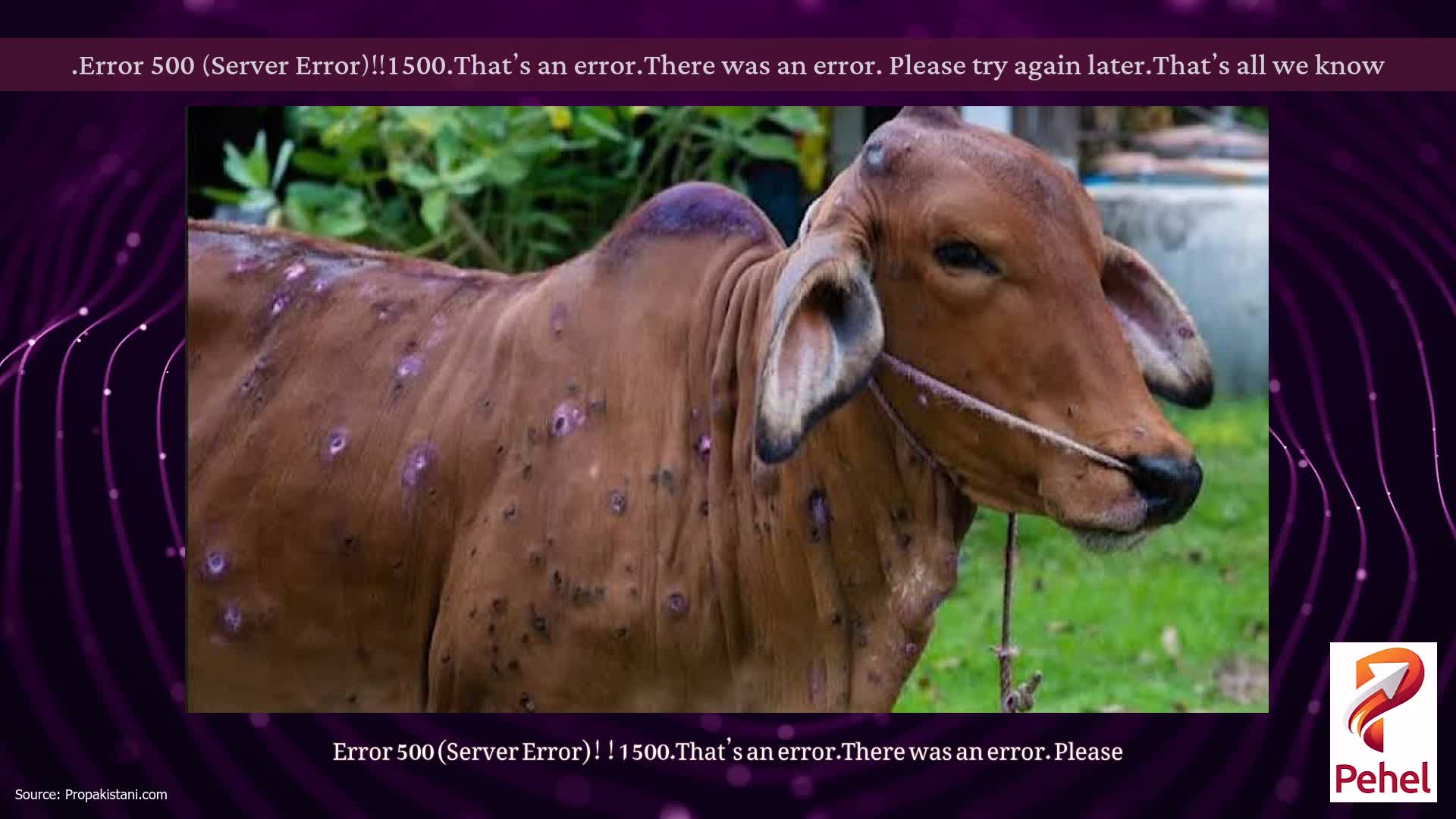 Error 500 (Server Error)!!1500.That’s an error.There was an error. Please try again later.That’s all we know.