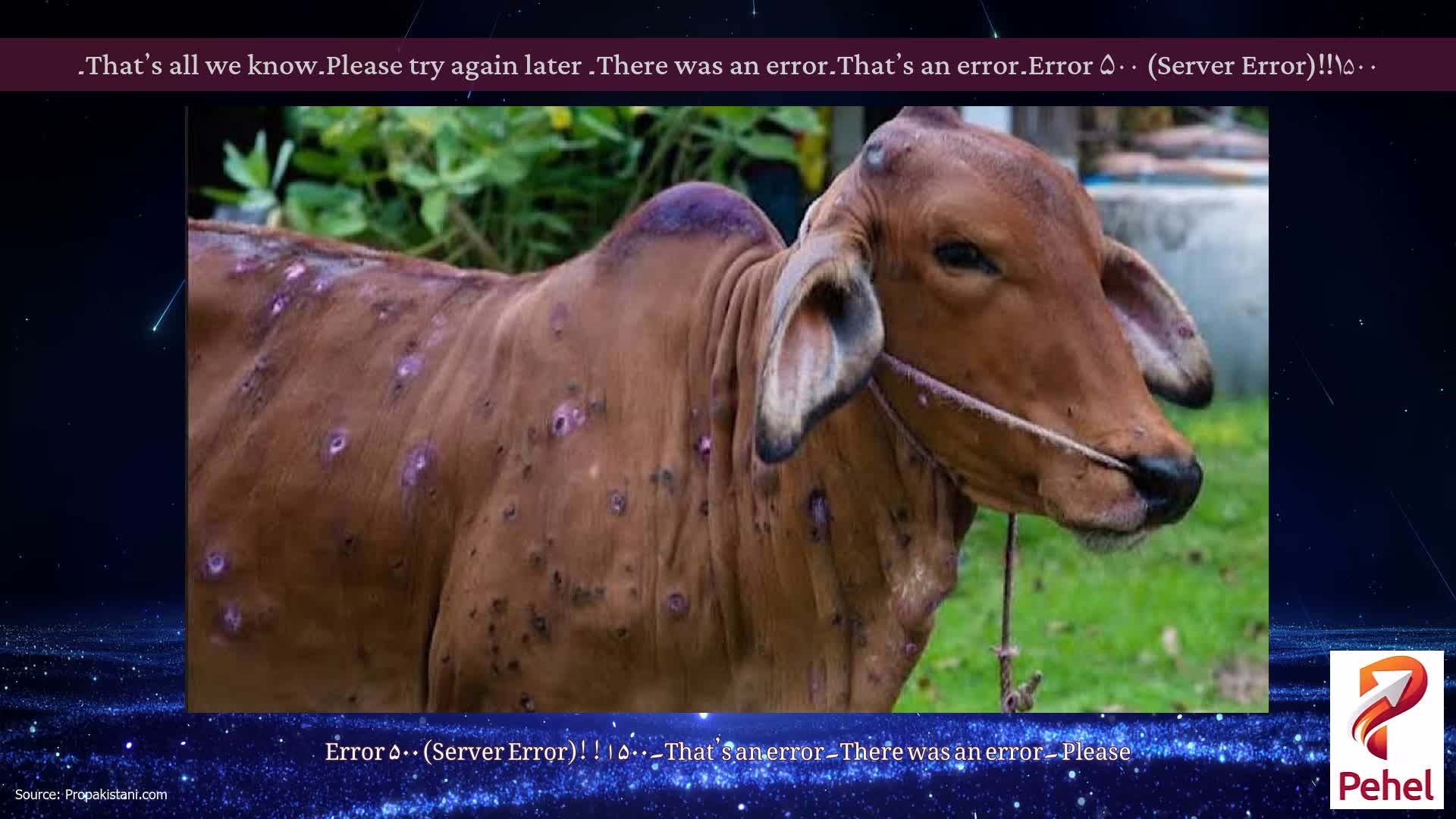 Error ۵۰۰ (Server Error)!!۱۵۰۰۔That’s an error۔There was an error۔ Please try again later۔That’s all we know۔