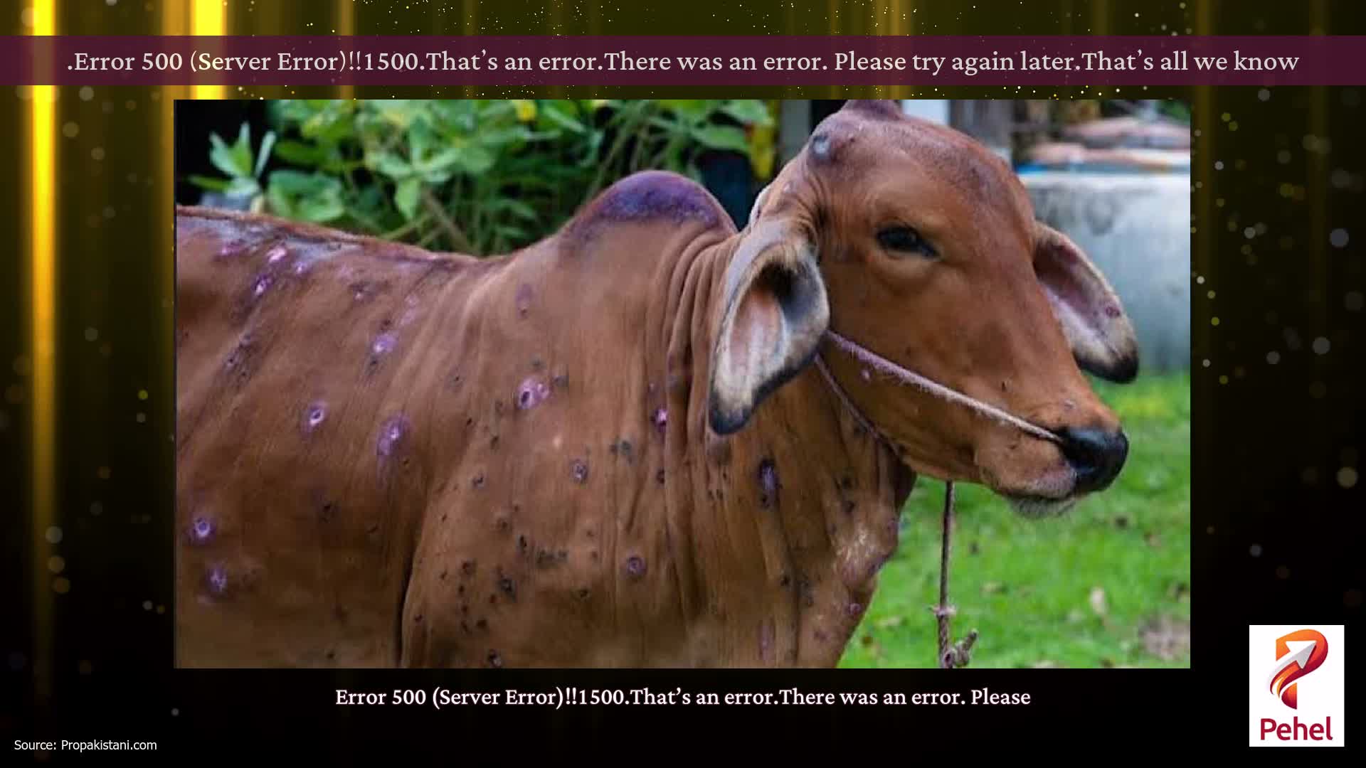 Error 500 (Server Error)!!1500.That’s an error.There was an error. Please try again later.That’s all we know.
