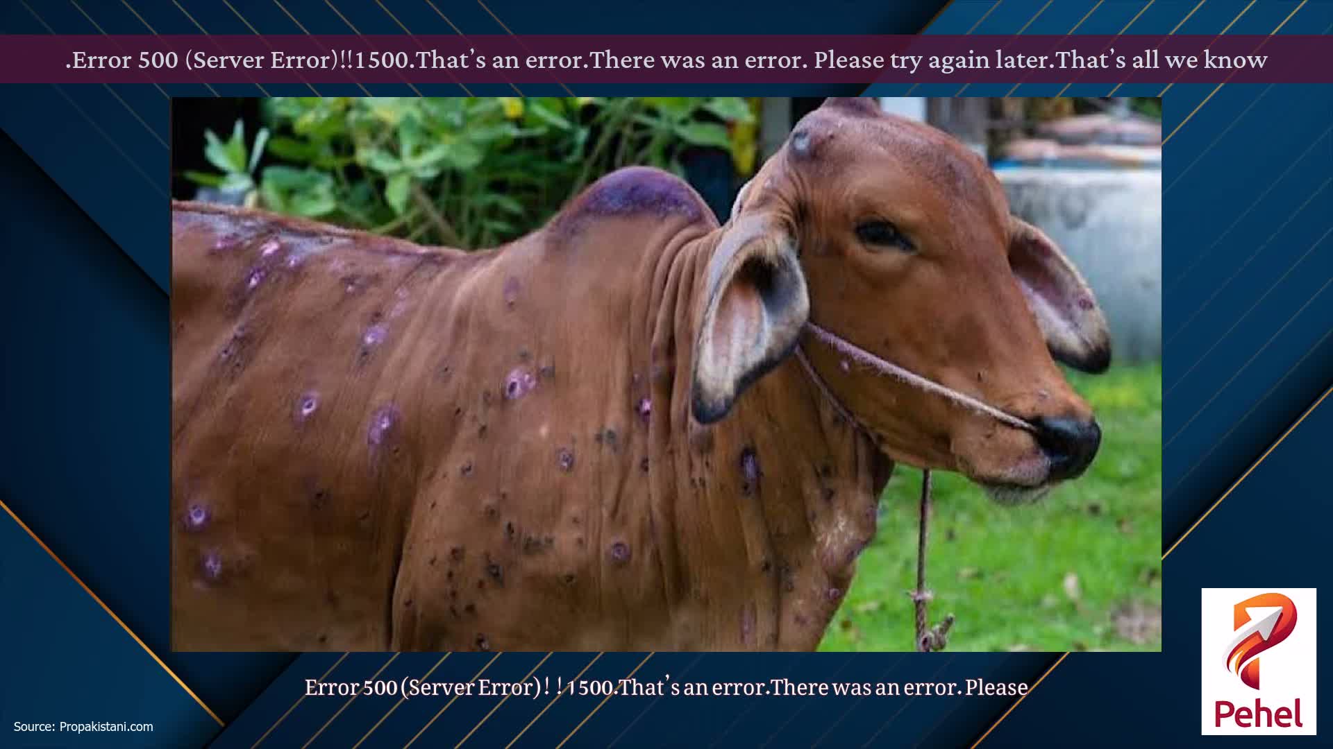 Error 500 (Server Error)!!1500.That’s an error.There was an error. Please try again later.That’s all we know.