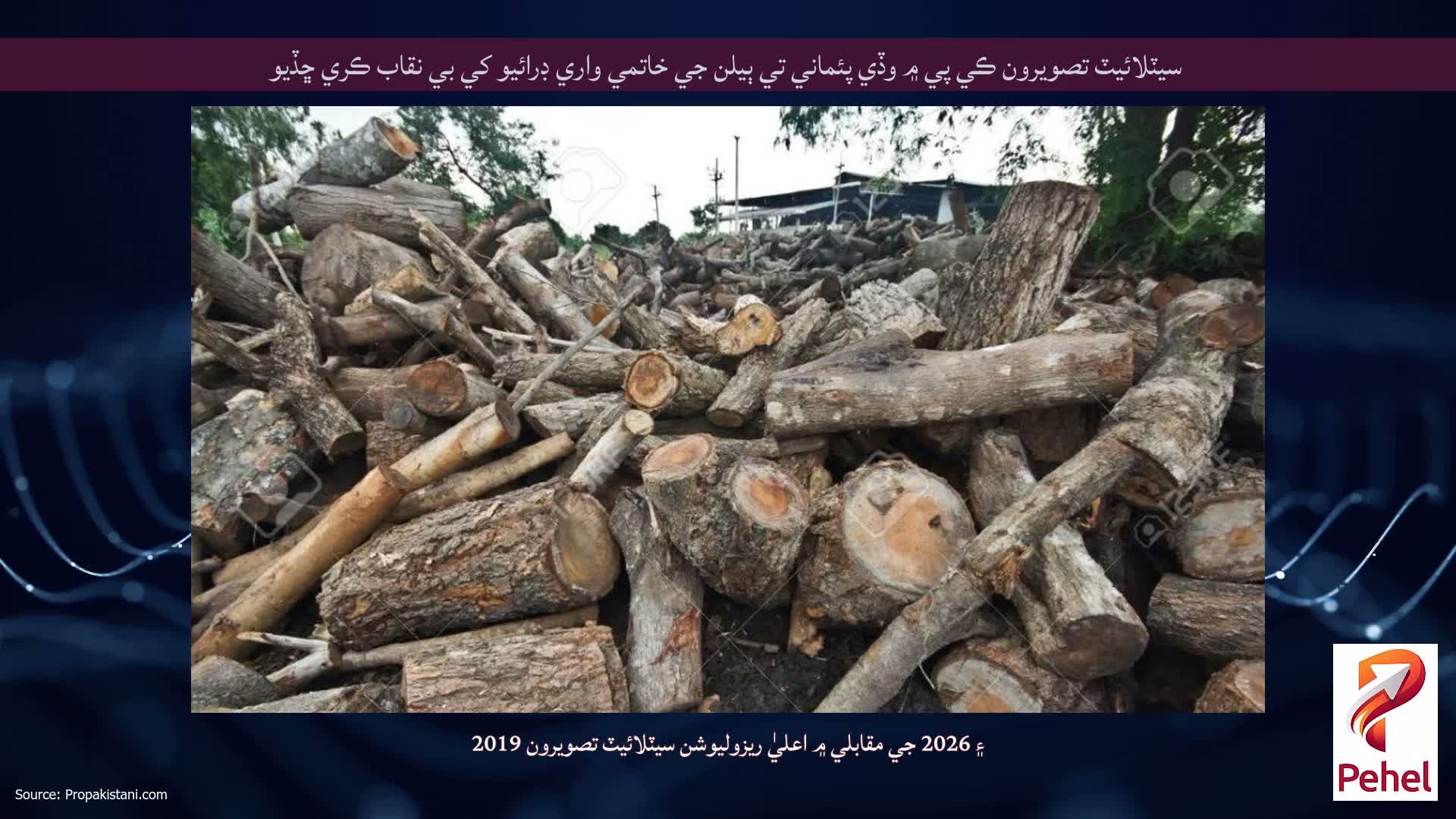سيٽلائيٽ تصويرون ڪي پي ۾ وڏي پئماني تي ٻيلن جي خاتمي واري ڊرائيو کي بي نقاب ڪري ڇڏيو