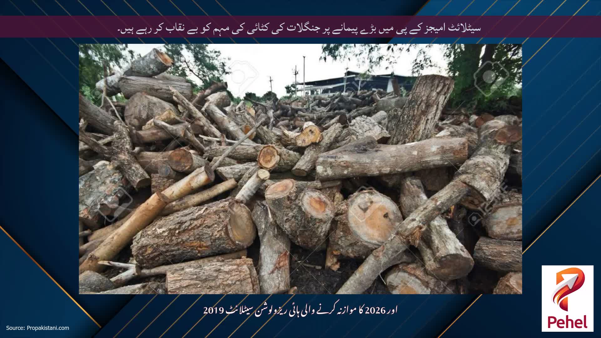 سیٹلائٹ امیجز کے پی میں بڑے پیمانے پر جنگلات کی کٹائی کی مہم کو بے نقاب کر رہے ہیں۔