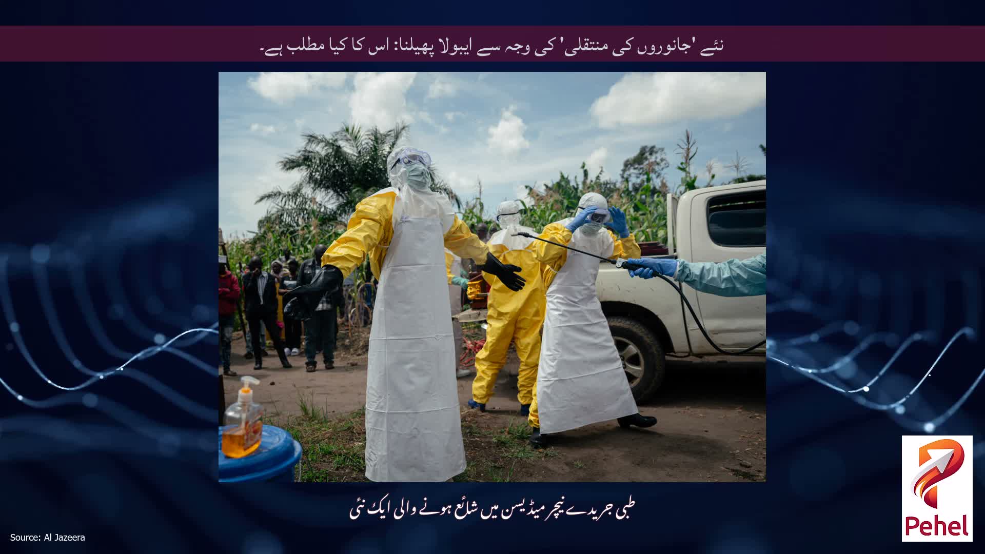 نئے 'جانوروں کی منتقلی' کی وجہ سے ایبولا پھیلنا: اس کا کیا مطلب ہے۔