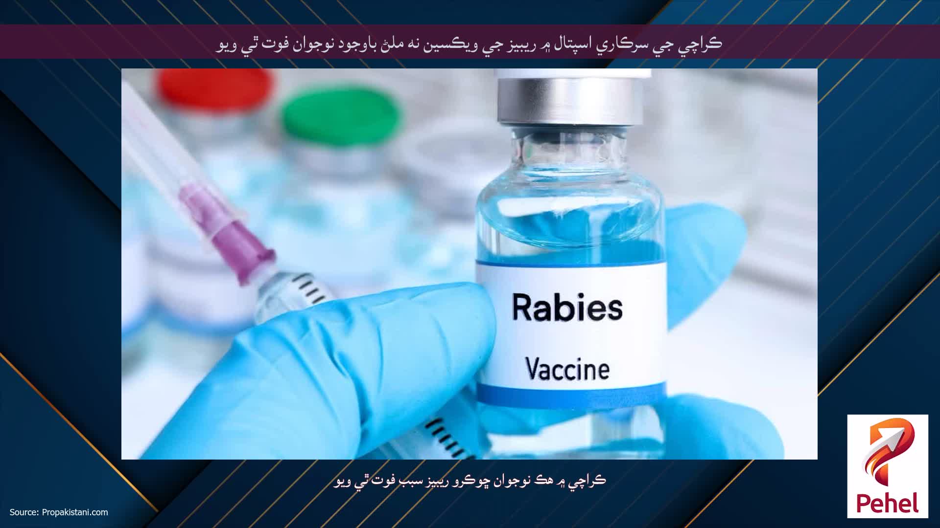 ڪراچي جي سرڪاري اسپتال ۾ ريبيز جي ويڪسين نه ملڻ باوجود نوجوان فوت ٿي ويو
