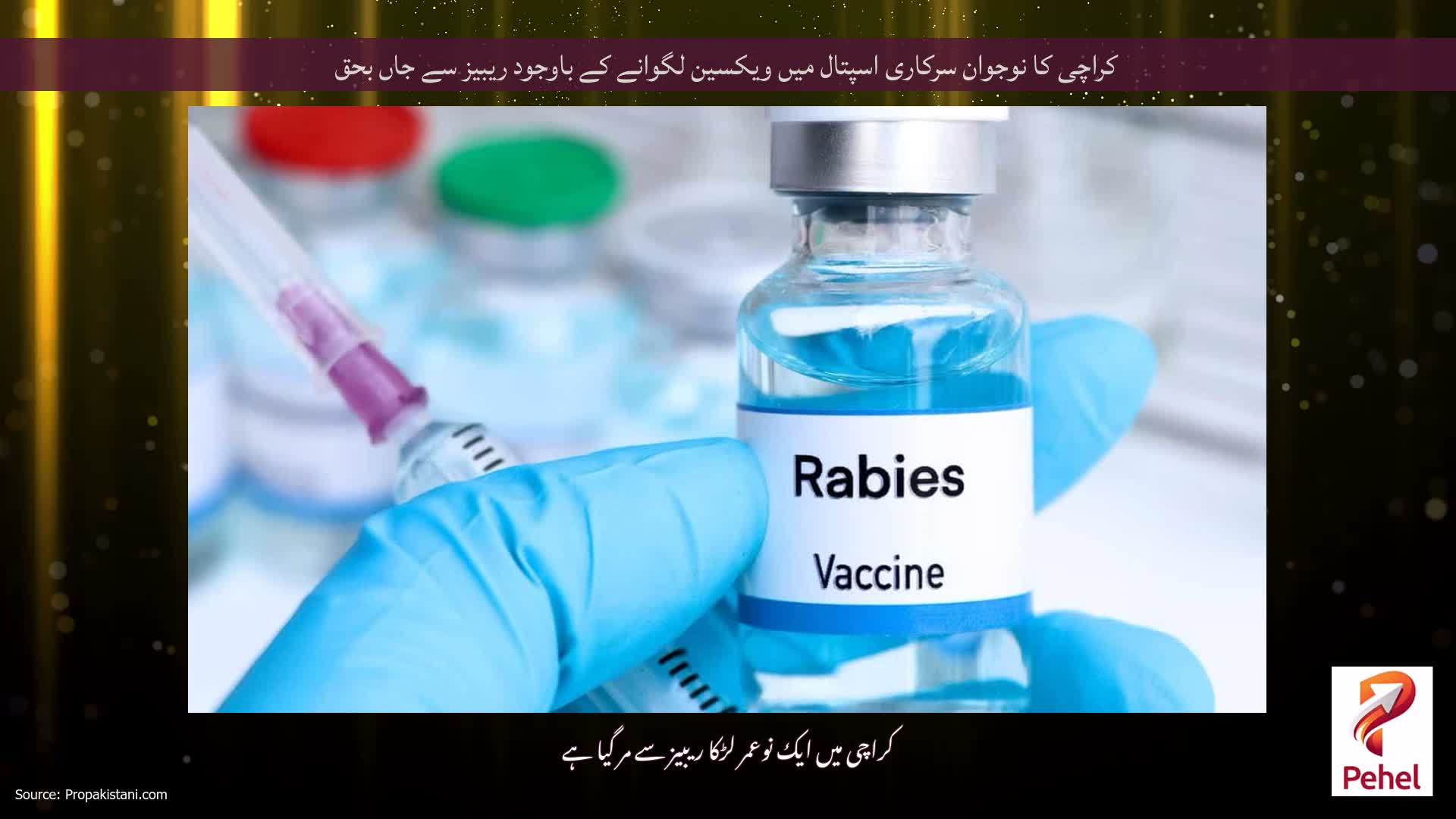 کراچی کا نوجوان سرکاری اسپتال میں ویکسین لگوانے کے باوجود ریبیز سے جاں بحق