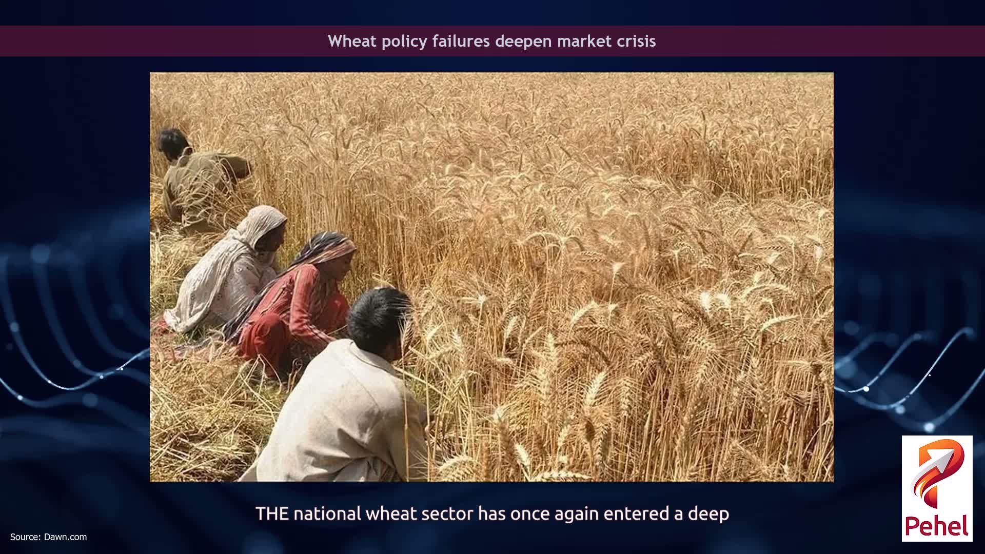 Wheat policy failures deepen market crisis
