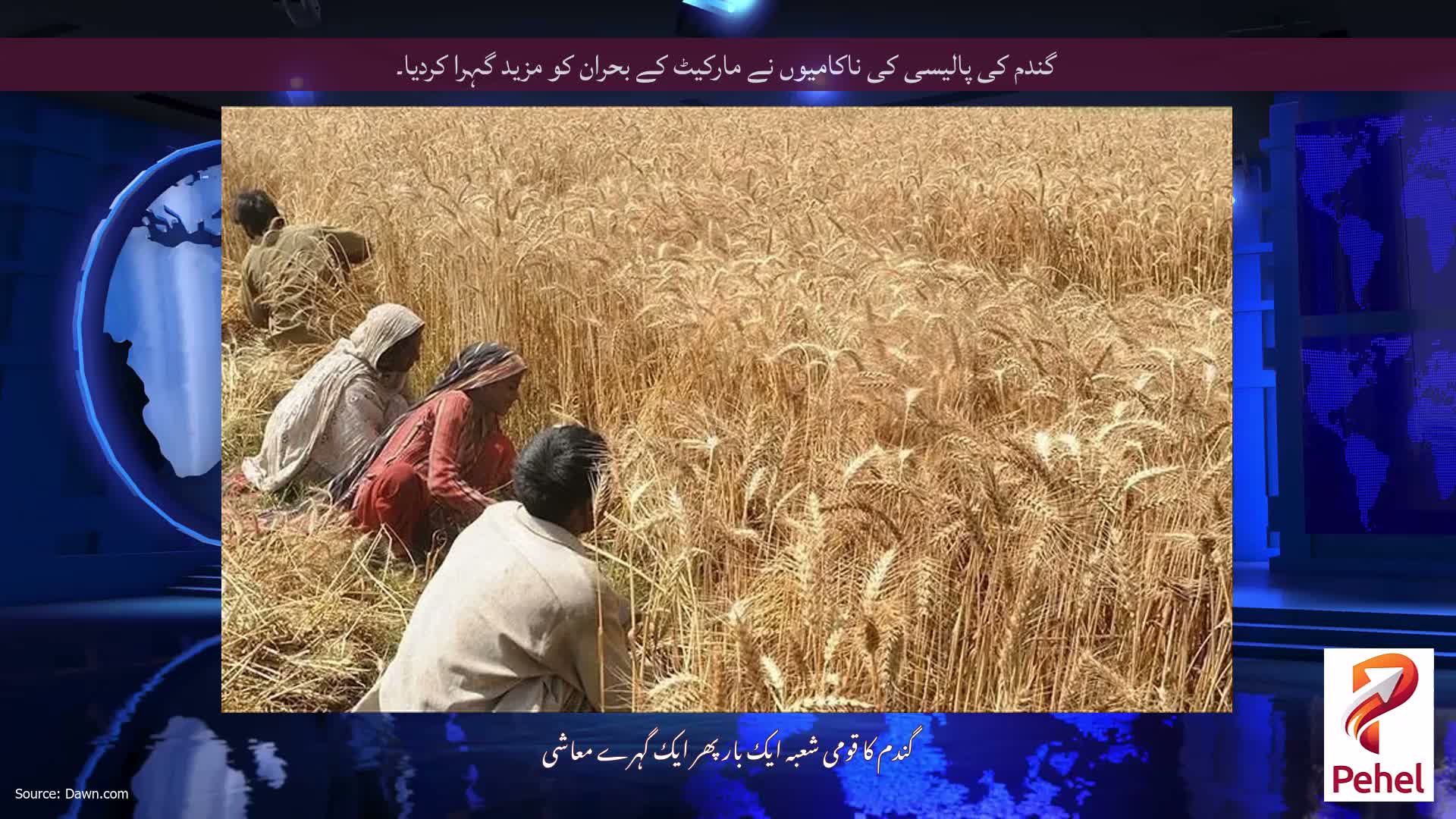 گندم کی پالیسی کی ناکامیوں نے مارکیٹ کے بحران کو مزید گہرا کردیا۔