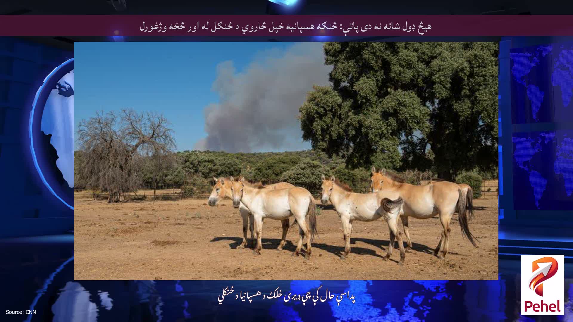 هیڅ ډول شاته نه دی پاتې: څنګه هسپانیه خپل څاروي د ځنګل له اور څخه وژغورل