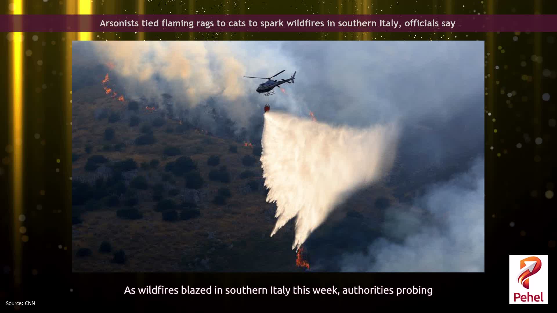 Arsonists tied flaming rags to cats to spark wildfires in southern Italy, officials say