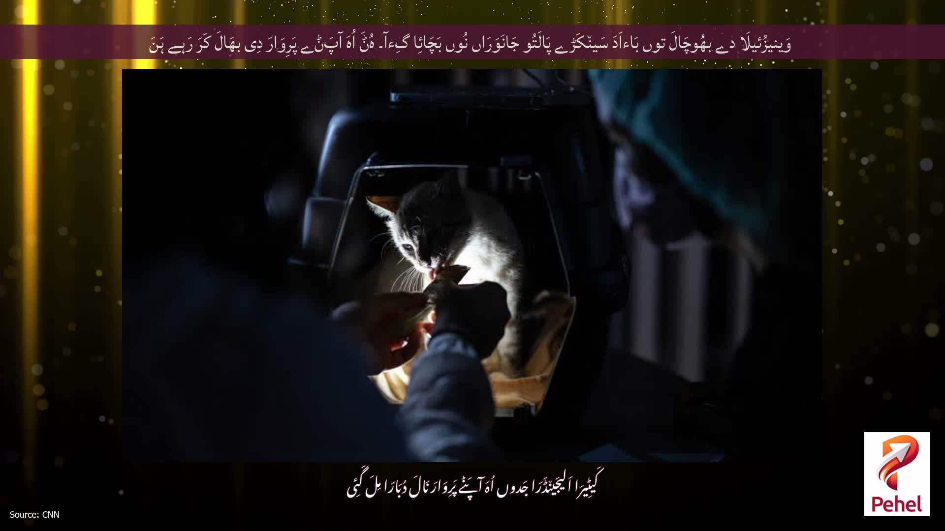وَینیزُئیلَا دے بھُوچَالَ توں بَاءاَدَ سَین٘کَڑے پَالَتُو جَانَوَرَاں نُوں بَچَائِا گِءآ۔ ہُݨَ اُہَ آپَݨے پَرِوَارَ دِی بھَالَ کَرَ رَہے ہَنَ