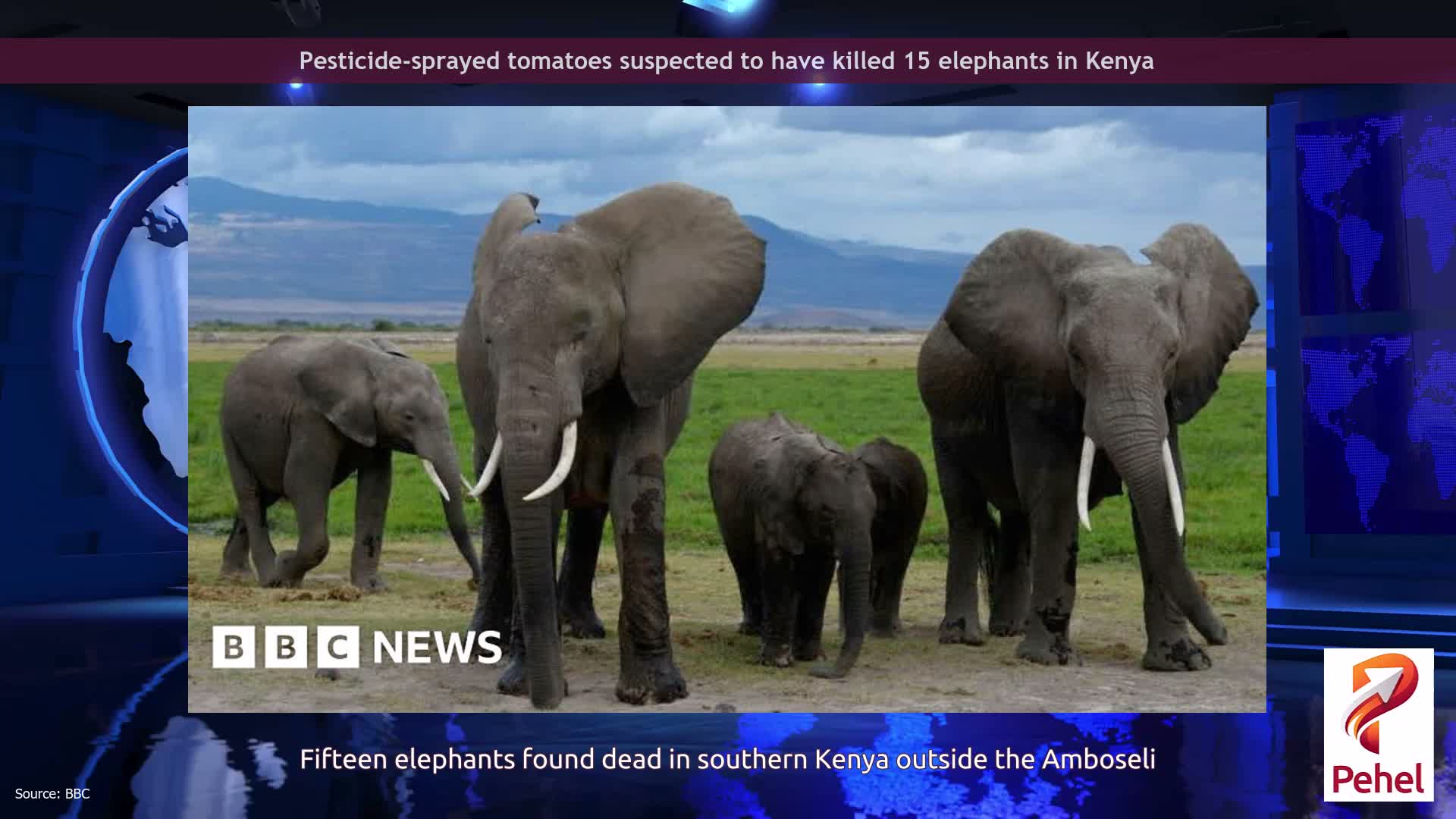 Pesticide-sprayed tomatoes suspected to have killed 15 elephants in Kenya