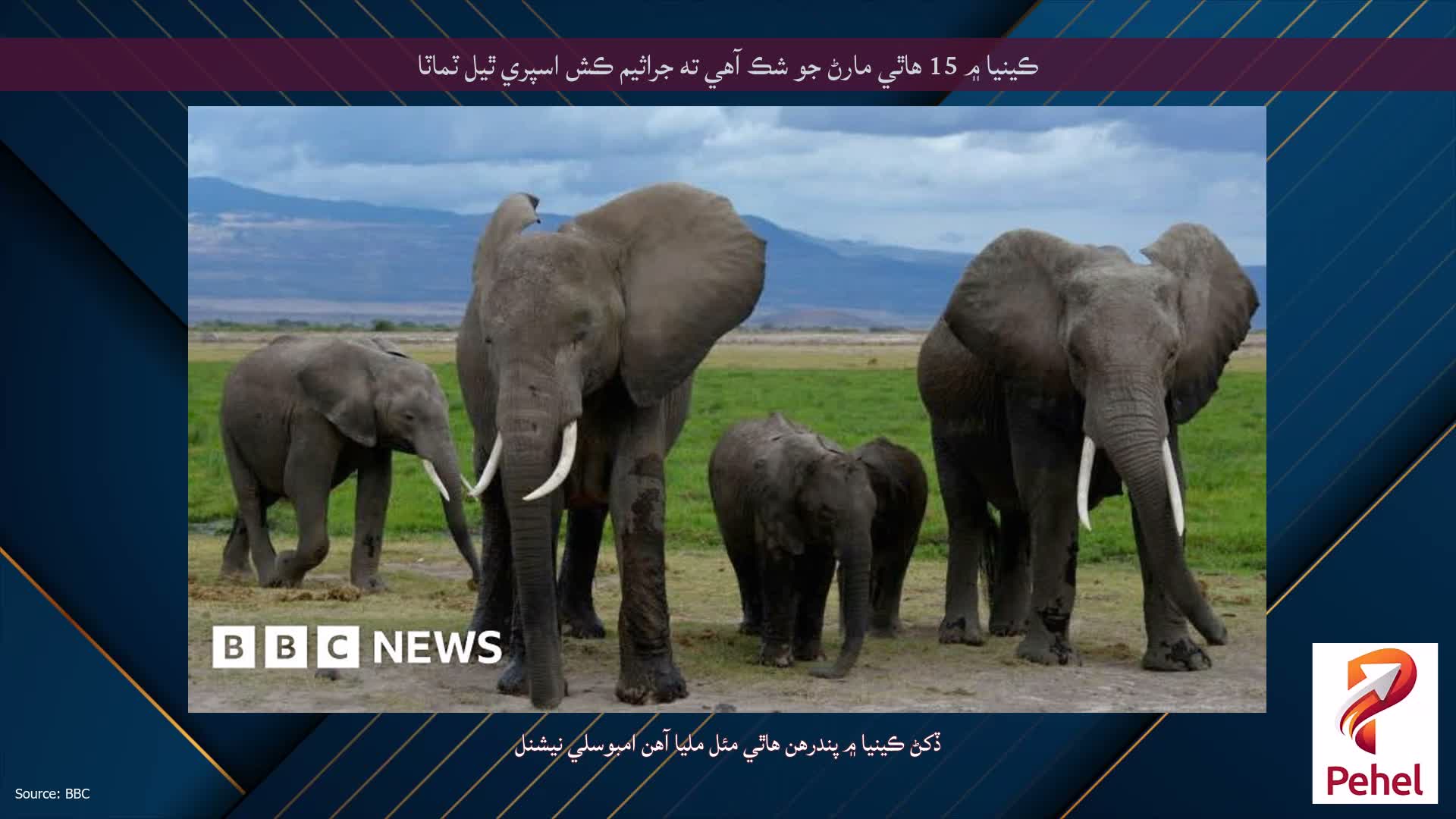 ڪينيا ۾ 15 هاٿي مارڻ جو شڪ آهي ته جراثيم ڪش اسپري ٿيل ٽماٽا