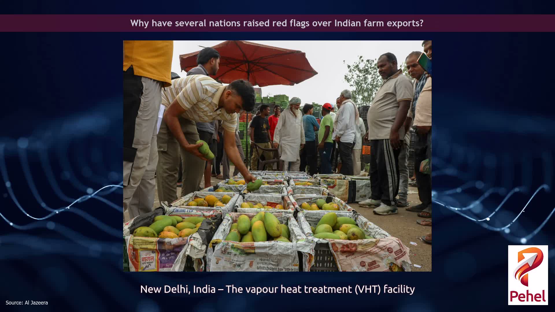 Why have several nations raised red flags over Indian farm exports?