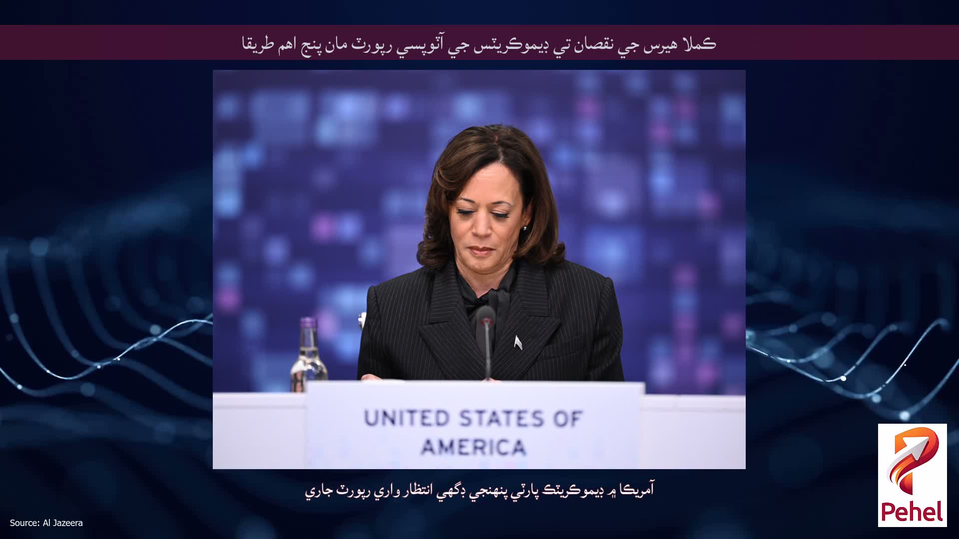 ڪملا هيرس جي نقصان تي ڊيموڪريٽس جي آٽوپسي رپورٽ مان پنج اهم طريقا