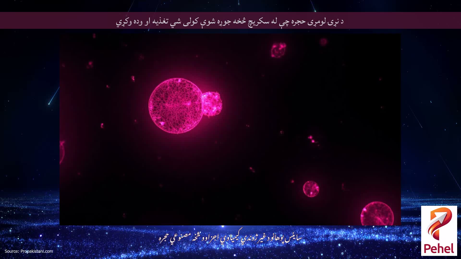 د نړۍ لومړی حجره چې له سکریچ څخه جوړه شوې کولی شي تغذیه او وده وکړي