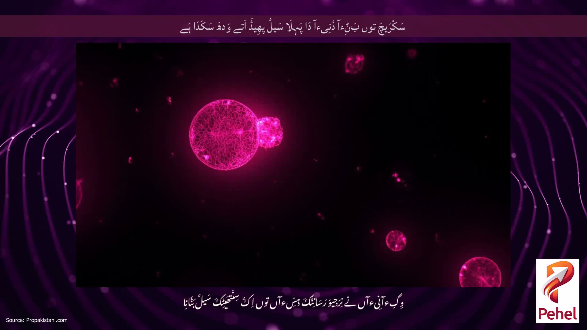 سَکْرَیچَ توں بَݨِءآ دُنِیءآ دَا پَہِلَا سَیلَّ پھِیڈَ اَتے وَدھَ سَکَدَا ہَے