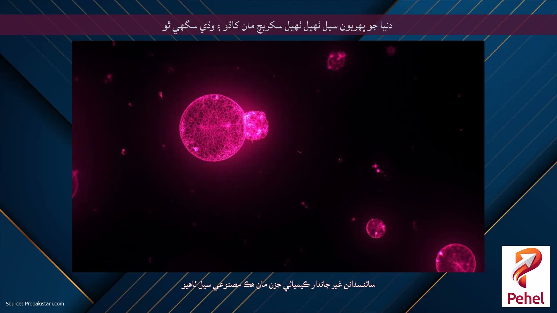 دنيا جو پھريون سيل ٺھيل ٺھيل سکريچ مان کاڌو ۽ وڌي سگھي ٿو