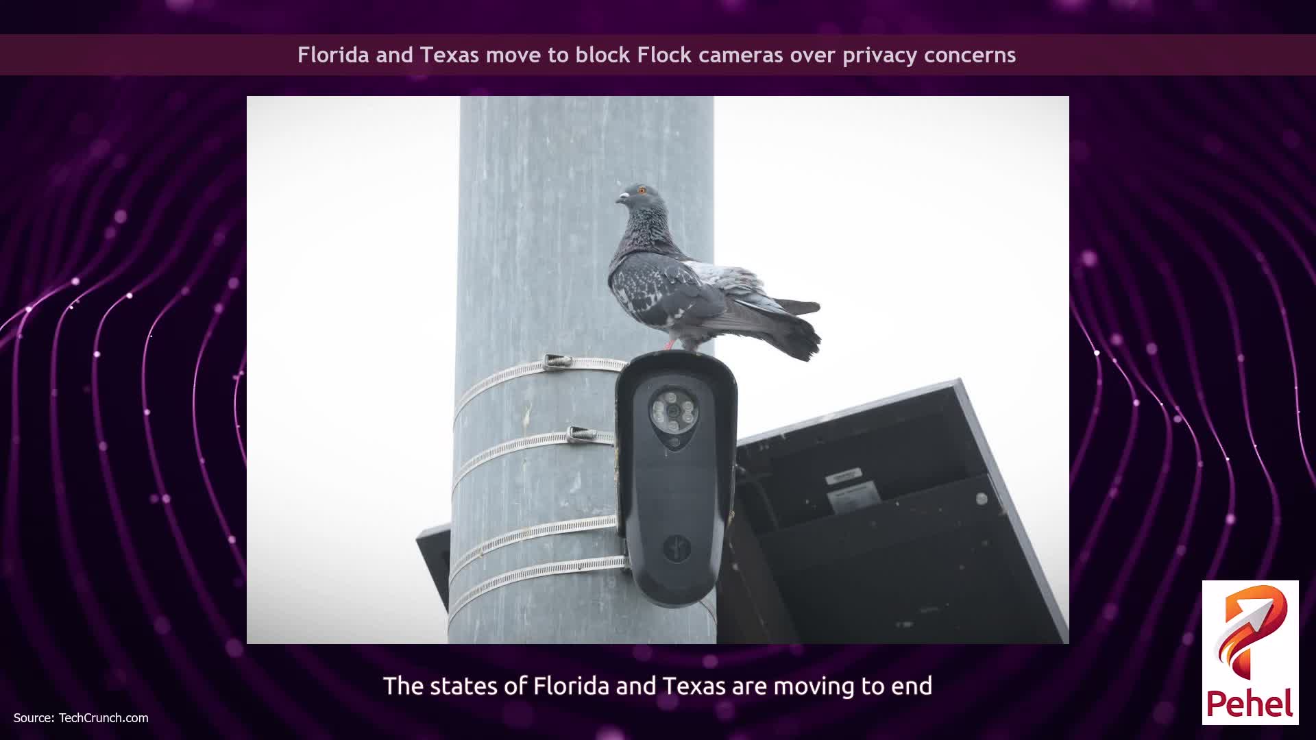 Florida and Texas move to block Flock cameras over privacy concerns