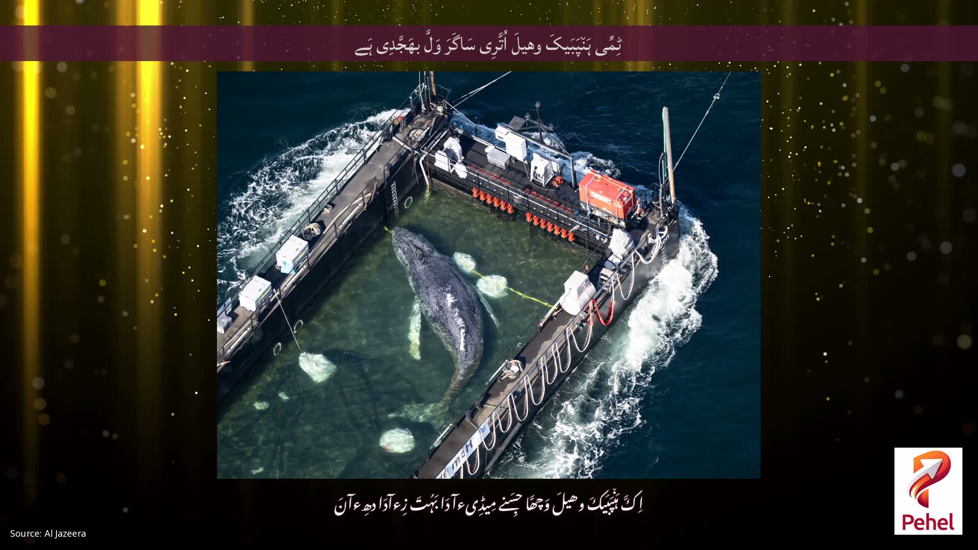 ٹِمِّی ہَن٘پَبَیکَ وھیلَ اُتَّرِی سَاگَرَ وَلَّ بھَجَّدِی ہَے