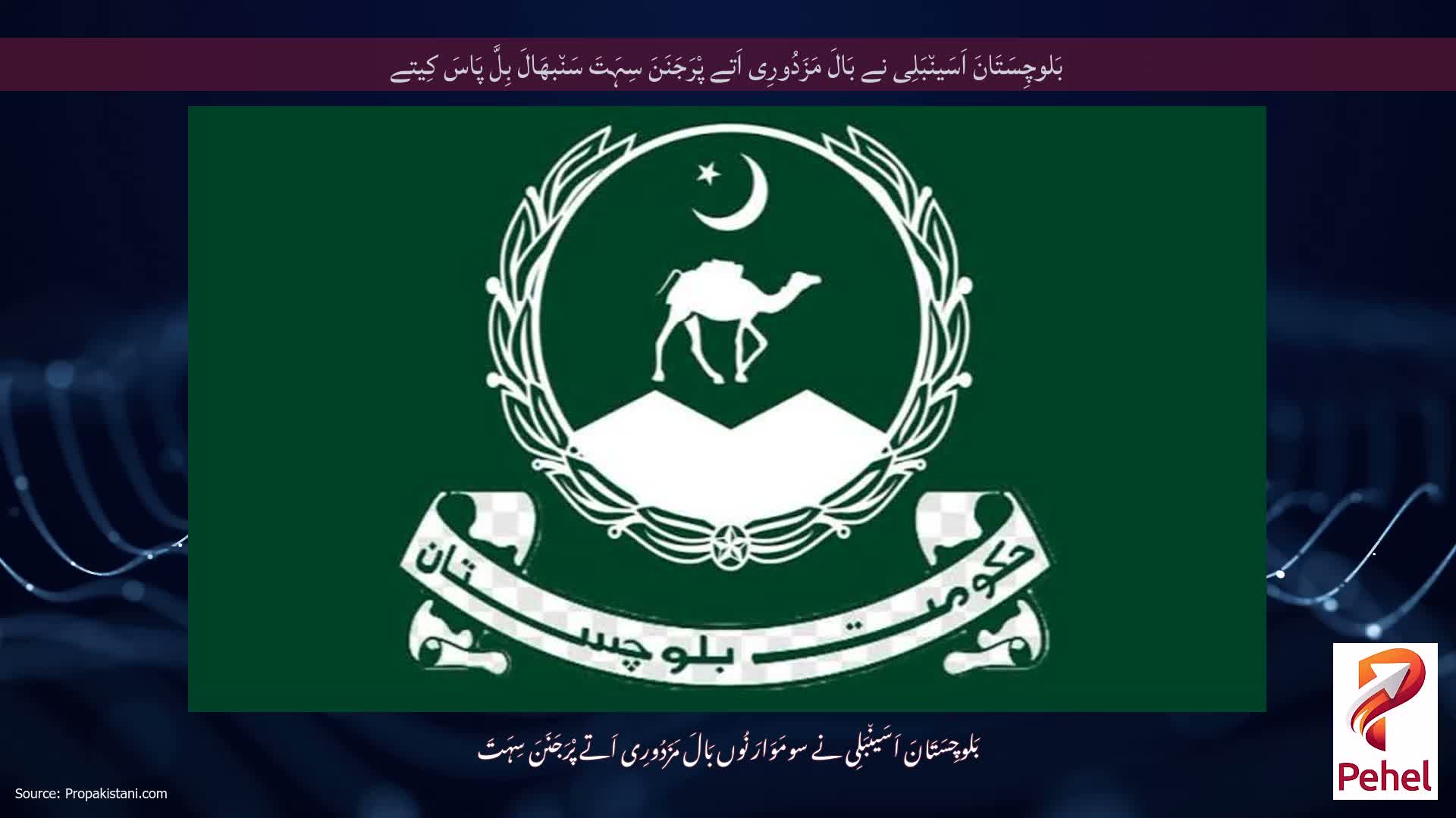 بَلوچِسَتَانَ اَسَین٘بَلِی نے بَالَ مَزَدُورِی اَتے پْرَجَنَنَ سِہَتَ سَن٘بھَالَ بِلَّ پَاسَ کِیتے