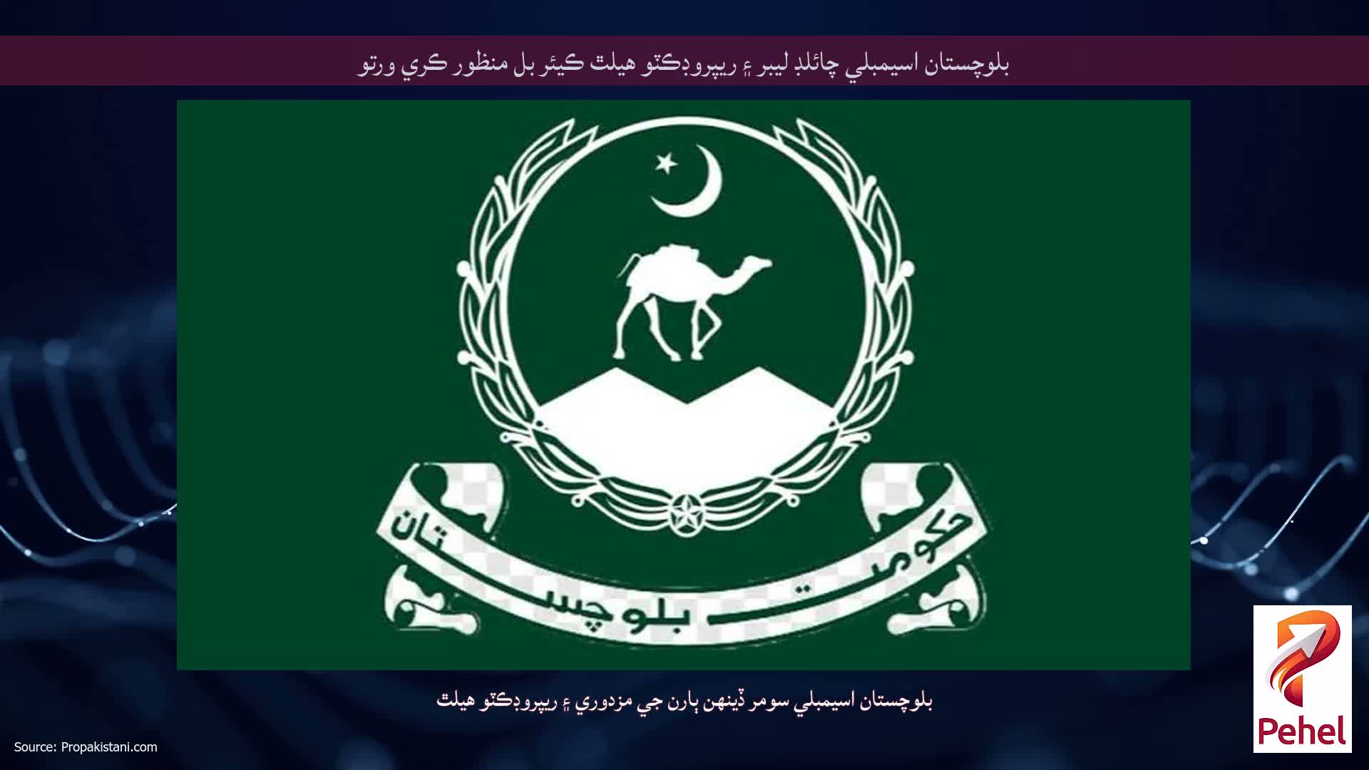 بلوچستان اسيمبلي چائلڊ ليبر ۽ ريپروڊڪٽو هيلٿ ڪيئر بل منظور ڪري ورتو