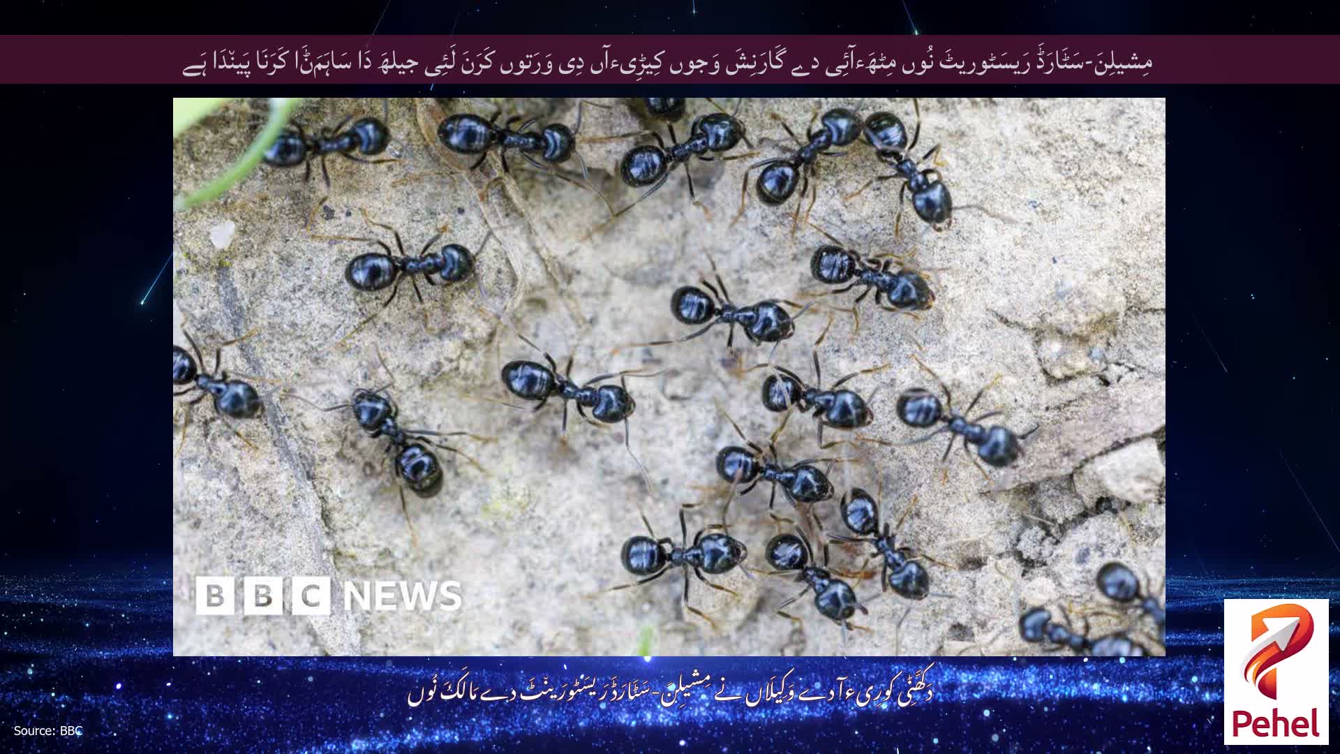 مِشیلِنَ-سَٹَارَڈَ رَیسَٹوریٹَ نُوں مِٹھَءآئِی دے گَارَنِشَ وَجوں کِیڑِیءآں دِی وَرَتوں کَرَنَ لَئِی جیلھَ دَا سَاہَمَݨَا کَرَنَا پَین٘دَا ہَے