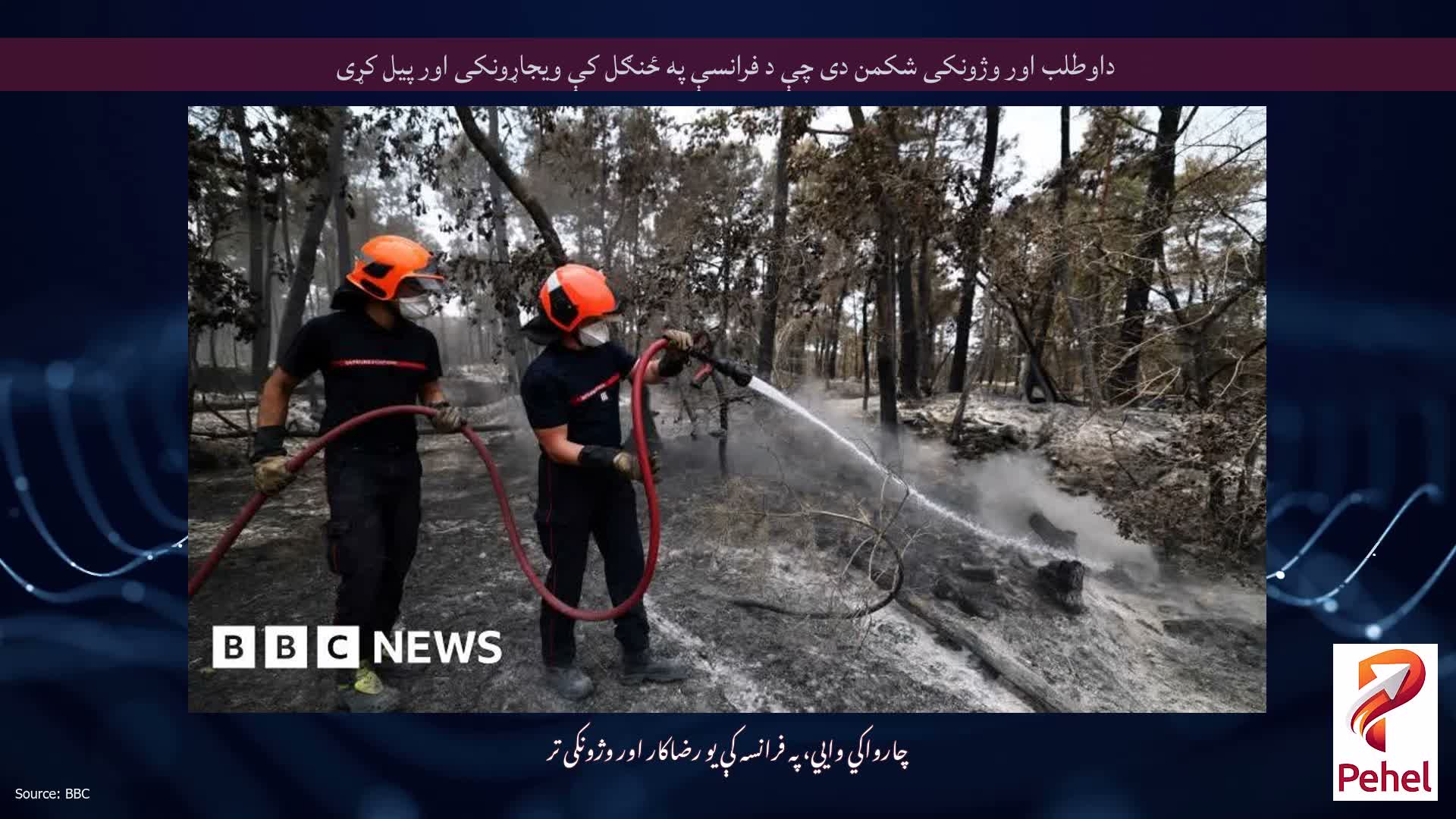 داوطلب اور وژونکی شکمن دی چې د فرانسې په ځنګل کې ویجاړونکی اور پیل کړی