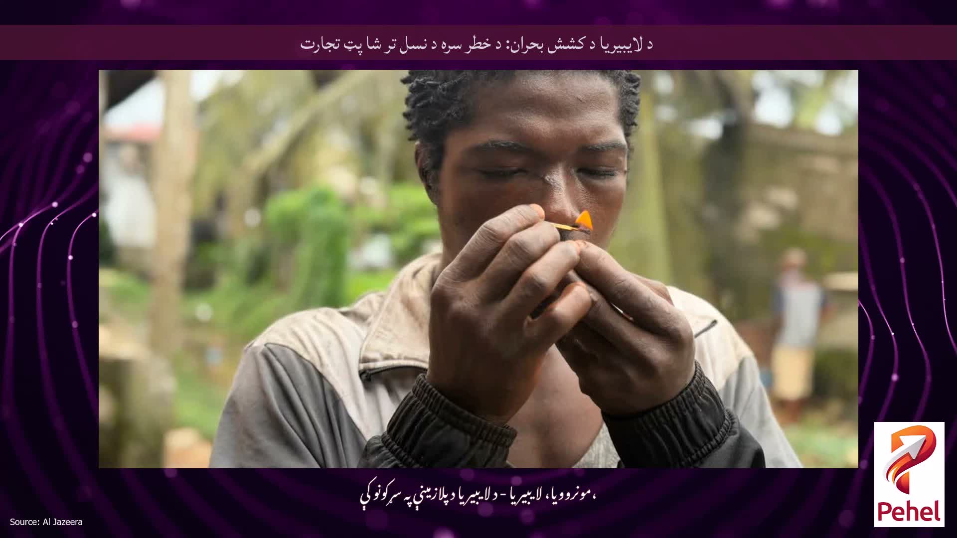 د لایبیریا د کشش بحران: د خطر سره د نسل تر شا پټ تجارت