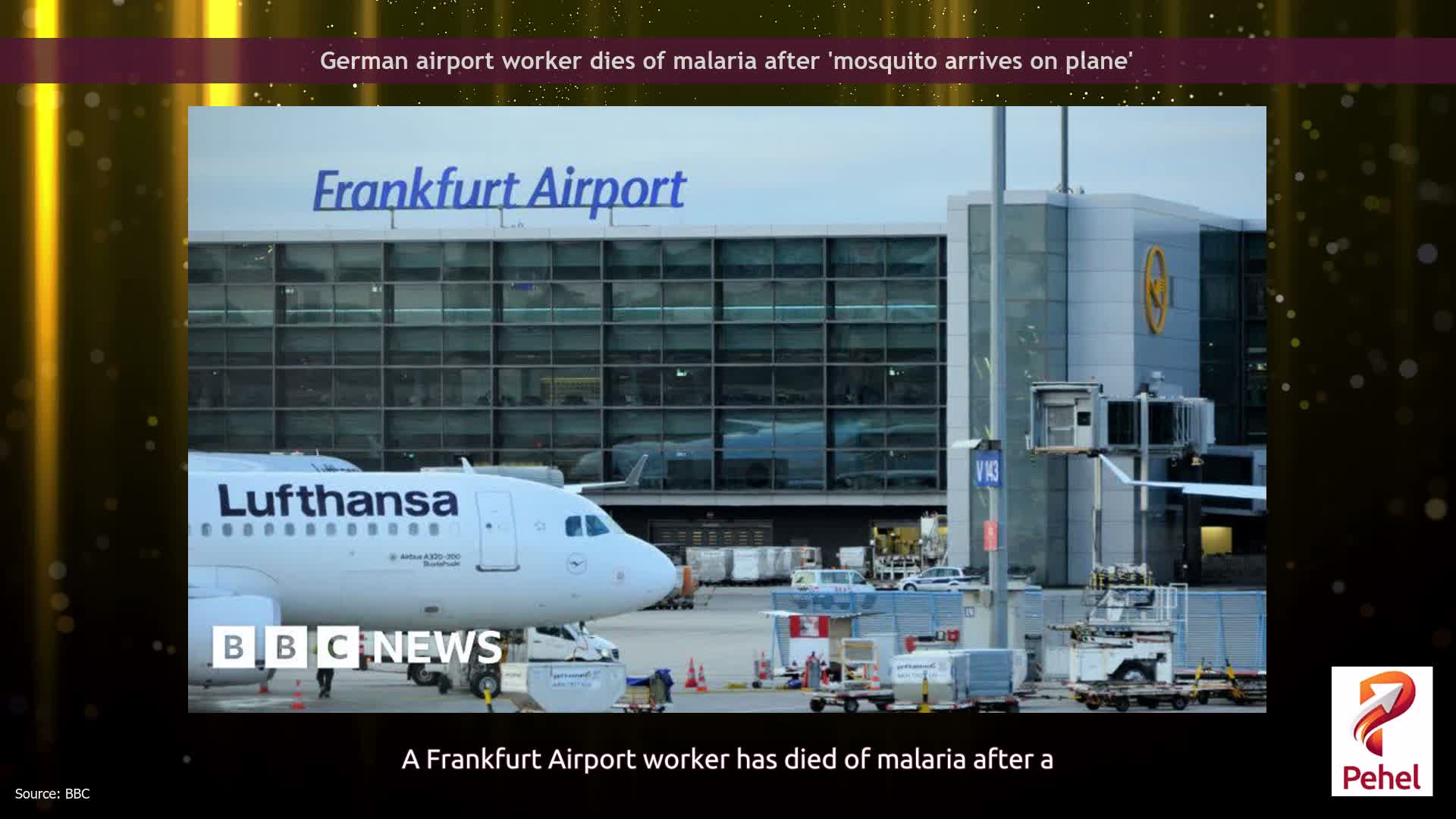 German airport worker dies of malaria after 'mosquito arrives on plane'