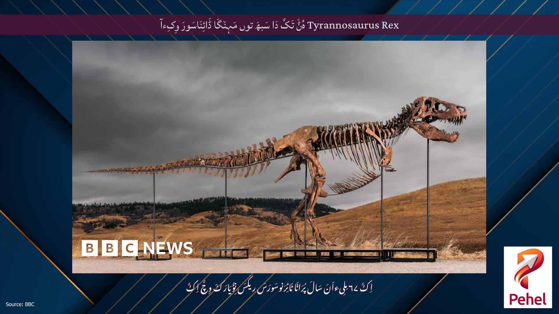 Tyrannosaurus Rex ہُݨَ تَکَّ دَا سَبھَ توں مَہِن٘گَا ڈَائِنَاسَورَ وِکِءآ