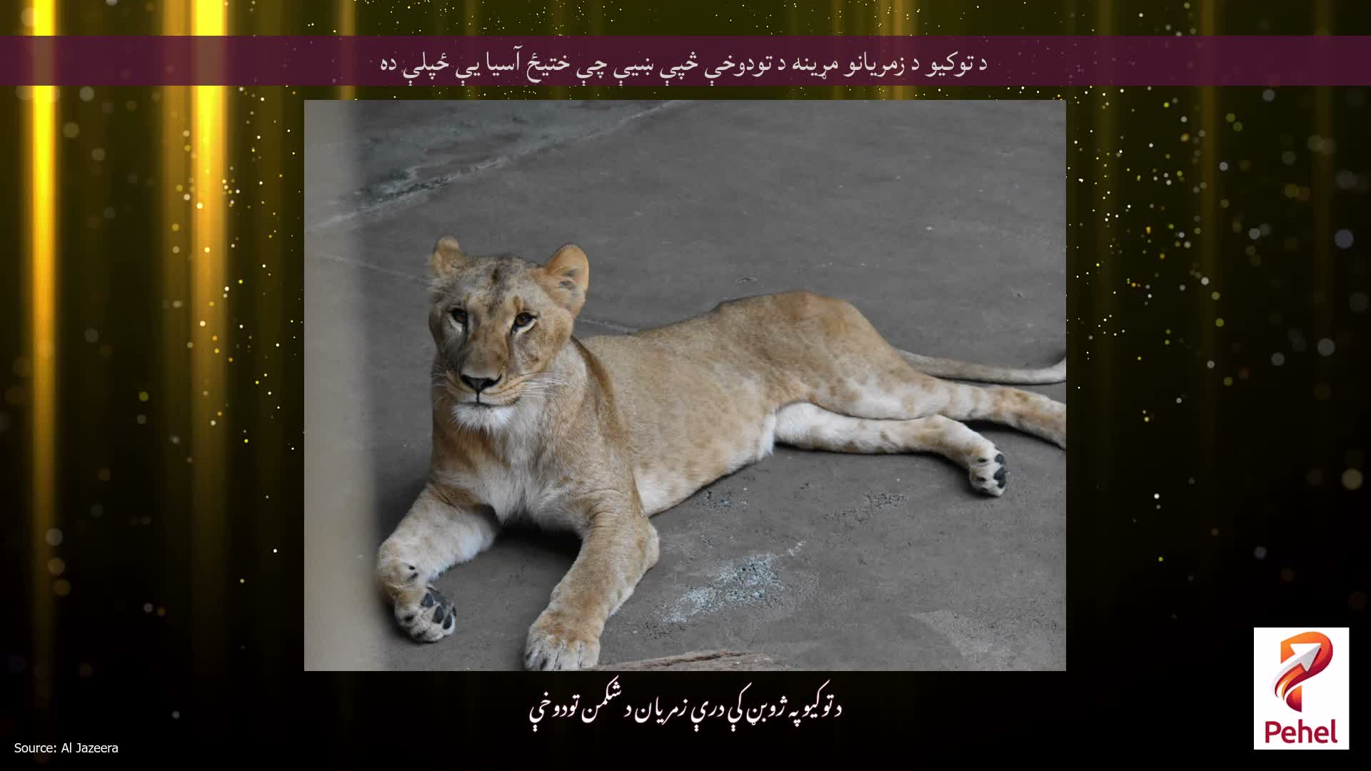 د توکیو د زمریانو مړینه د تودوخې څپې ښیې چې ختیځ آسیا یې ځپلې ده