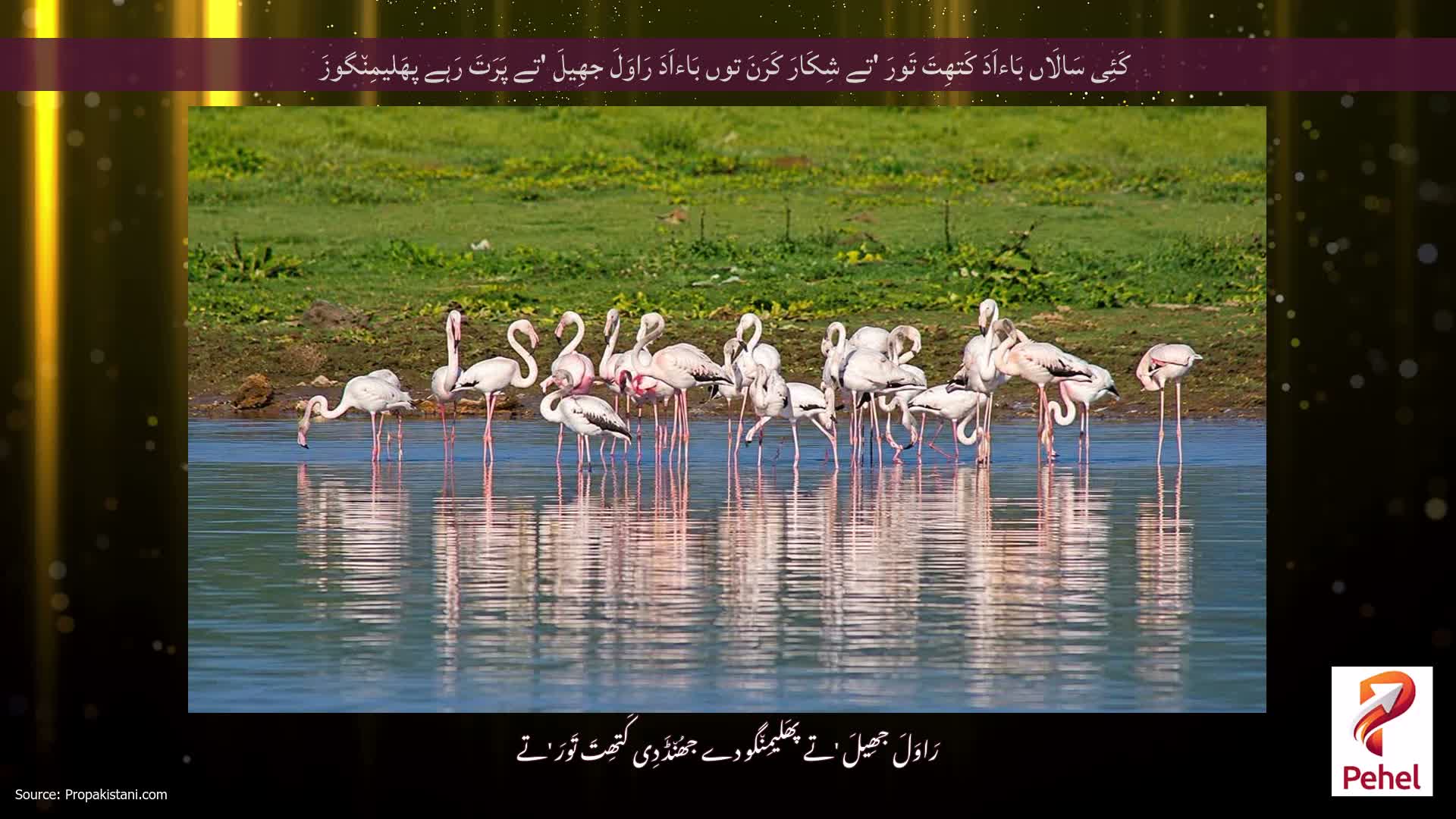 کَئِی سَالَاں بَاءاَدَ کَتھِتَ تَورَ 'تے شِکَارَ کَرَنَ توں بَاءاَدَ رَاوَلَ جھِیلَ 'تے پَرَتَ رَہے پھَلیمِن٘گوزَ