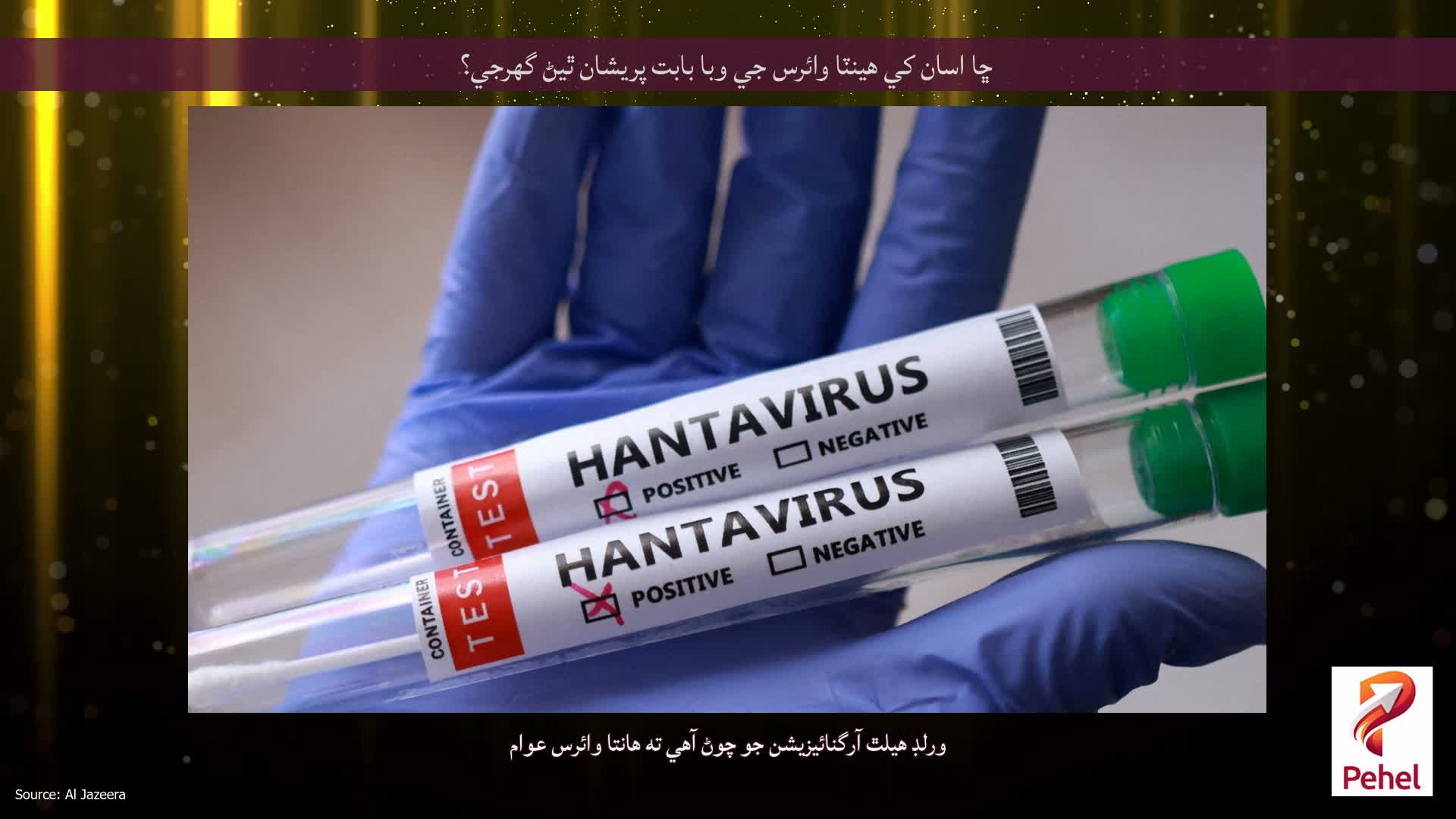 ڇا اسان کي هينٽا وائرس جي وبا بابت پريشان ٿيڻ گهرجي؟