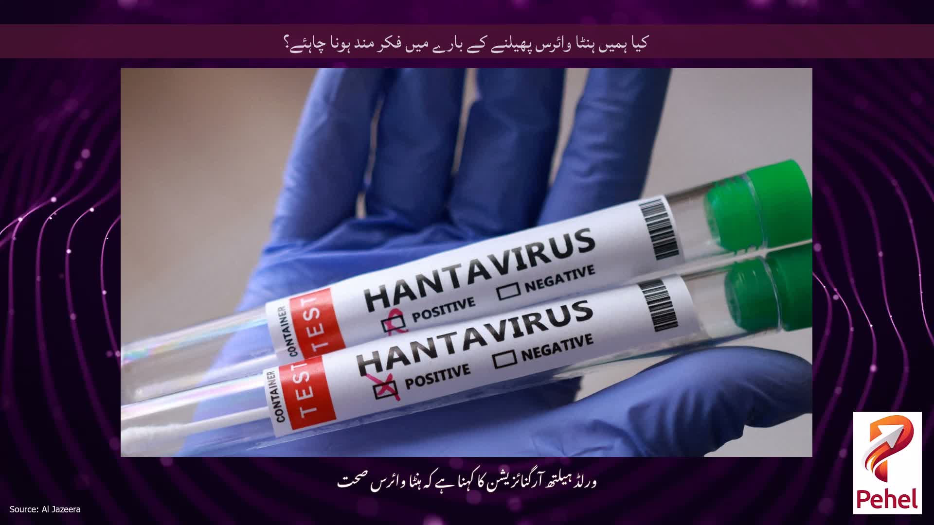 کیا ہمیں ہنٹا وائرس پھیلنے کے بارے میں فکر مند ہونا چاہئے؟