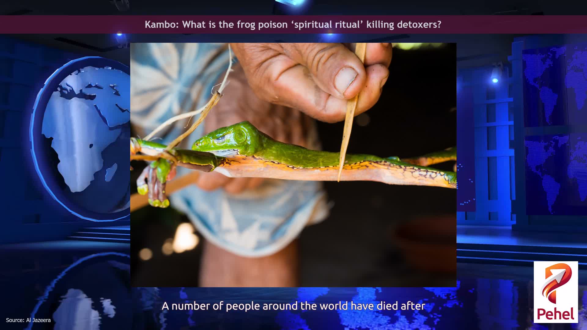 Kambo: What is the frog poison ‘spiritual ritual’ killing detoxers?