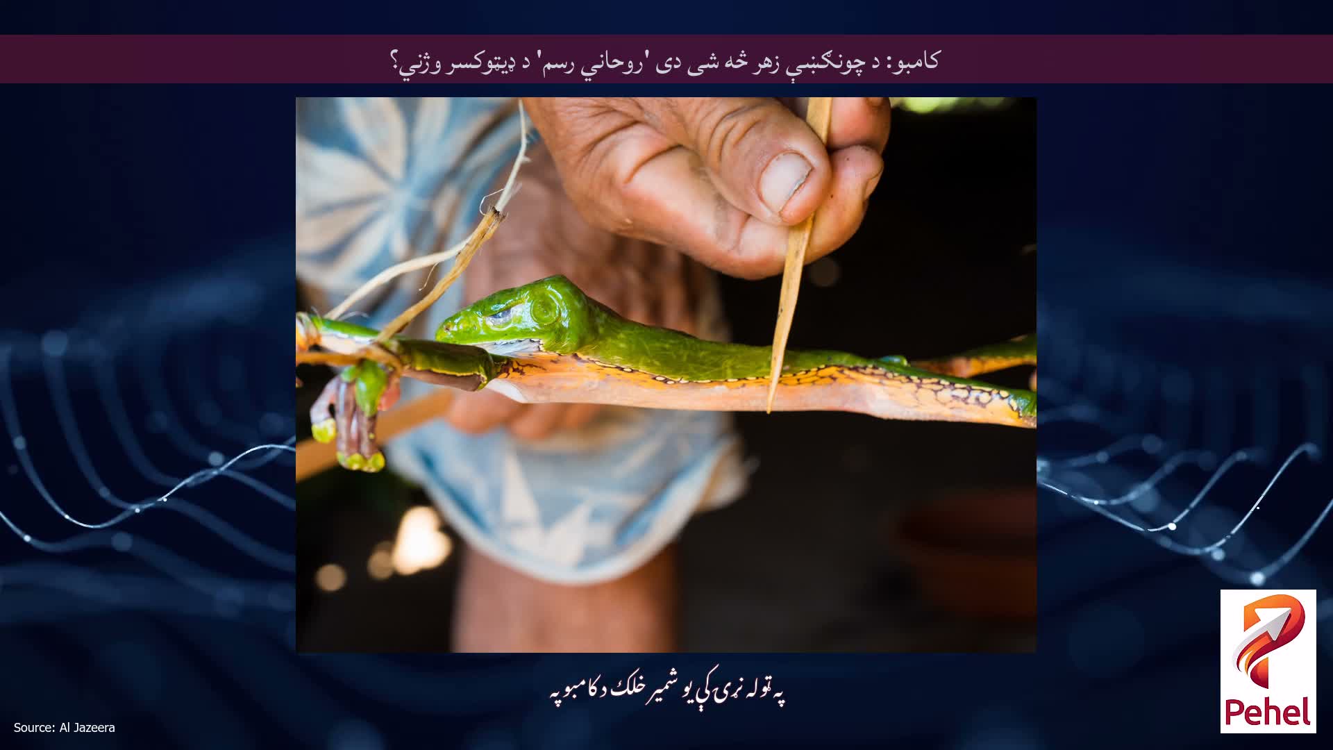 کامبو: د چونګښې زهر څه شی دی 'روحاني رسم' د ډیټوکسر وژني؟