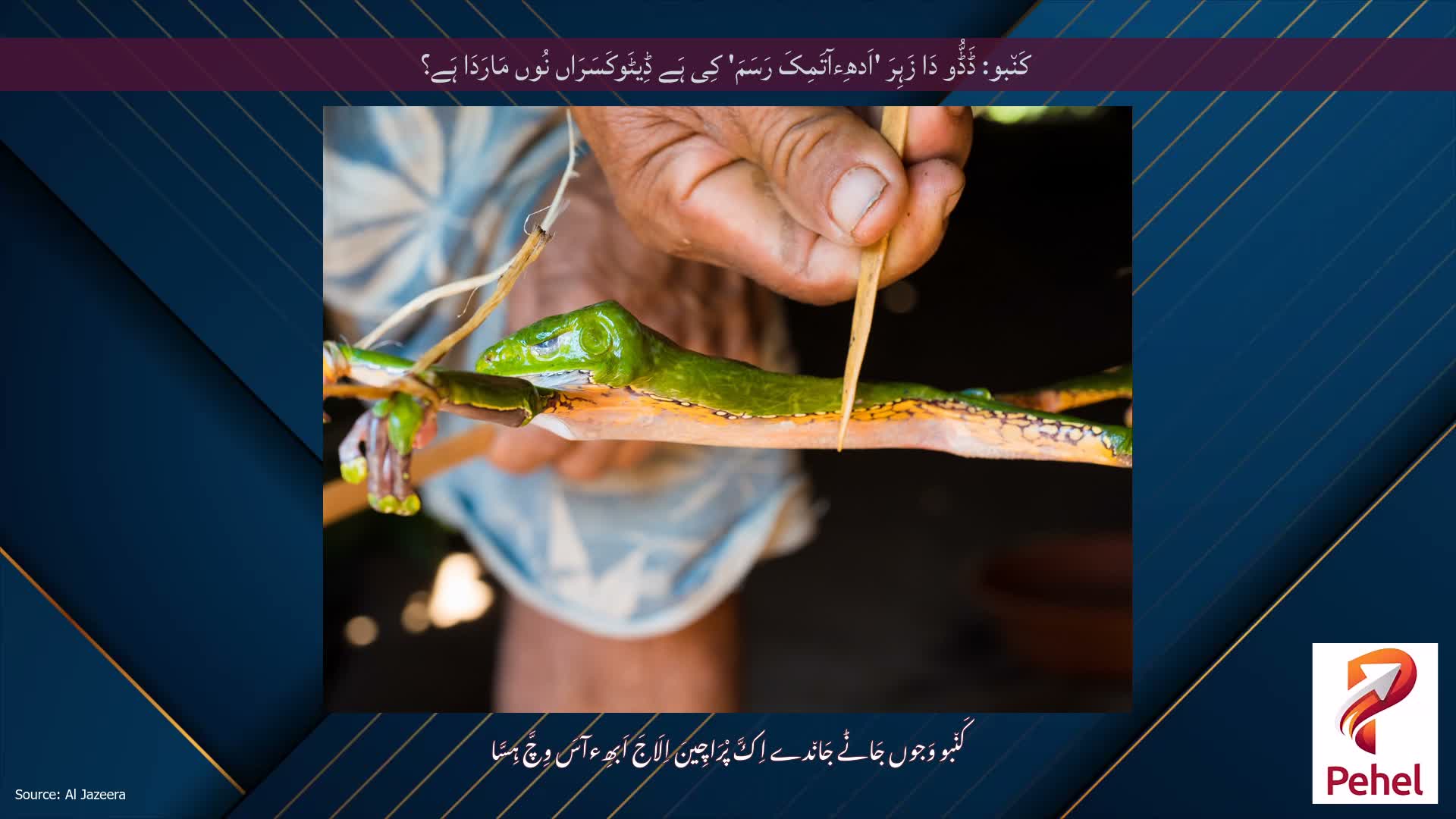 کَن٘بو: ڈَڈُّو دَا زَہِرَ 'اَدھِءآتَمِکَ رَسَمَ' کِی ہَے ڈِیٹَوکَسَرَاں نُوں مَارَدَا ہَے؟
