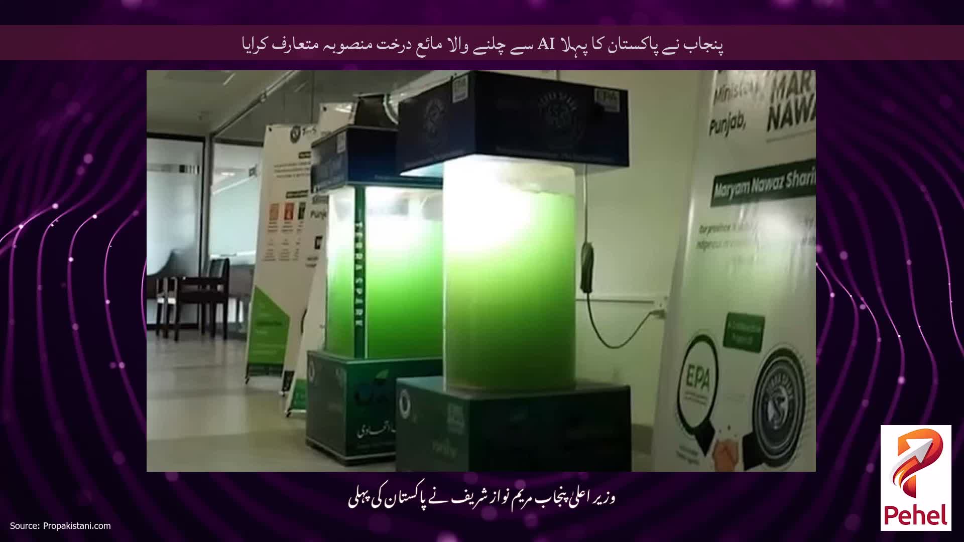 پنجاب نے پاکستان کا پہلا AI سے چلنے والا مائع درخت منصوبہ متعارف کرایا