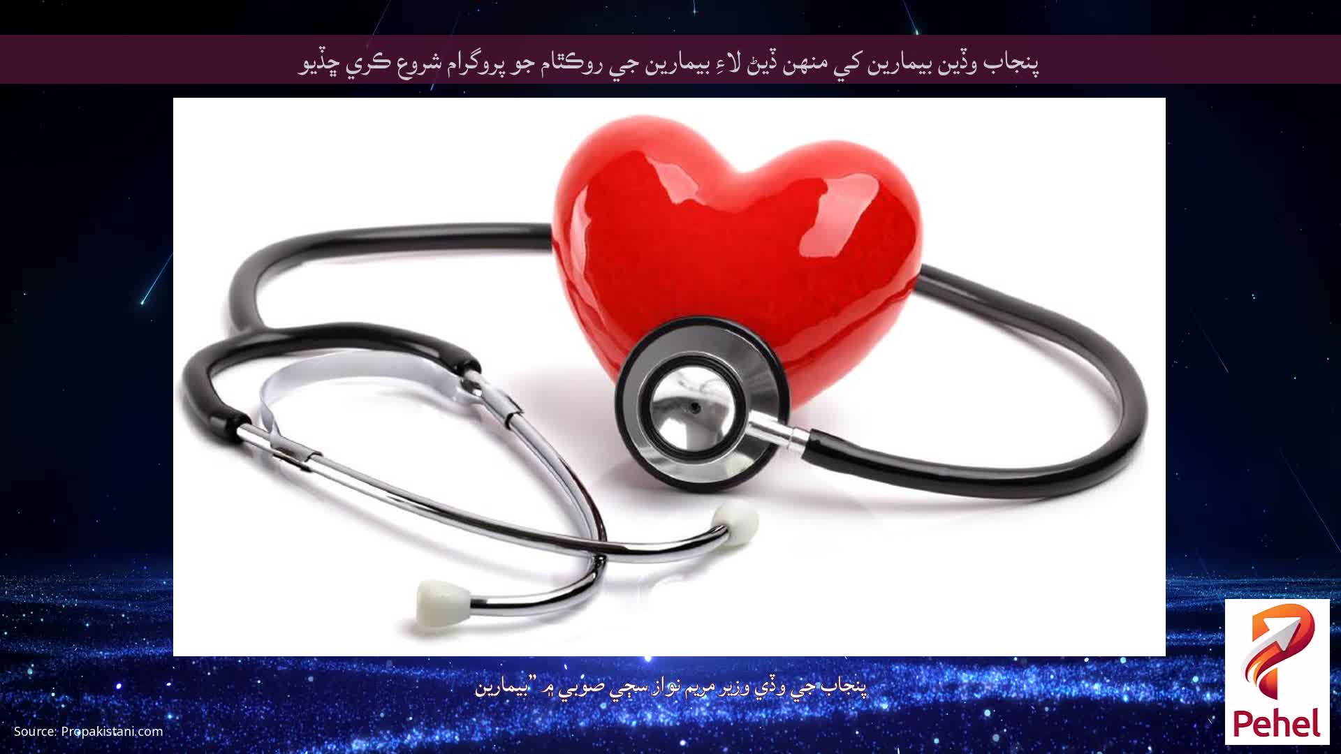 پنجاب وڏين بيمارين کي منهن ڏيڻ لاءِ بيمارين جي روڪٿام جو پروگرام شروع ڪري ڇڏيو
