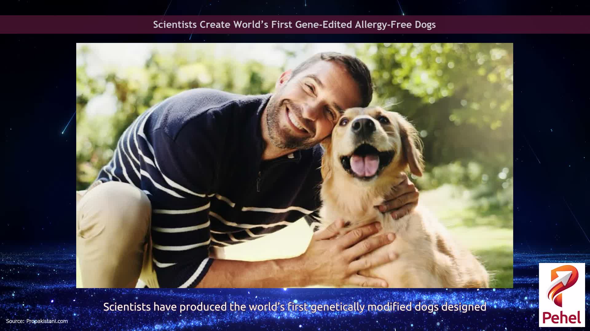 Scientists Create World’s First Gene-Edited Allergy-Free Dogs