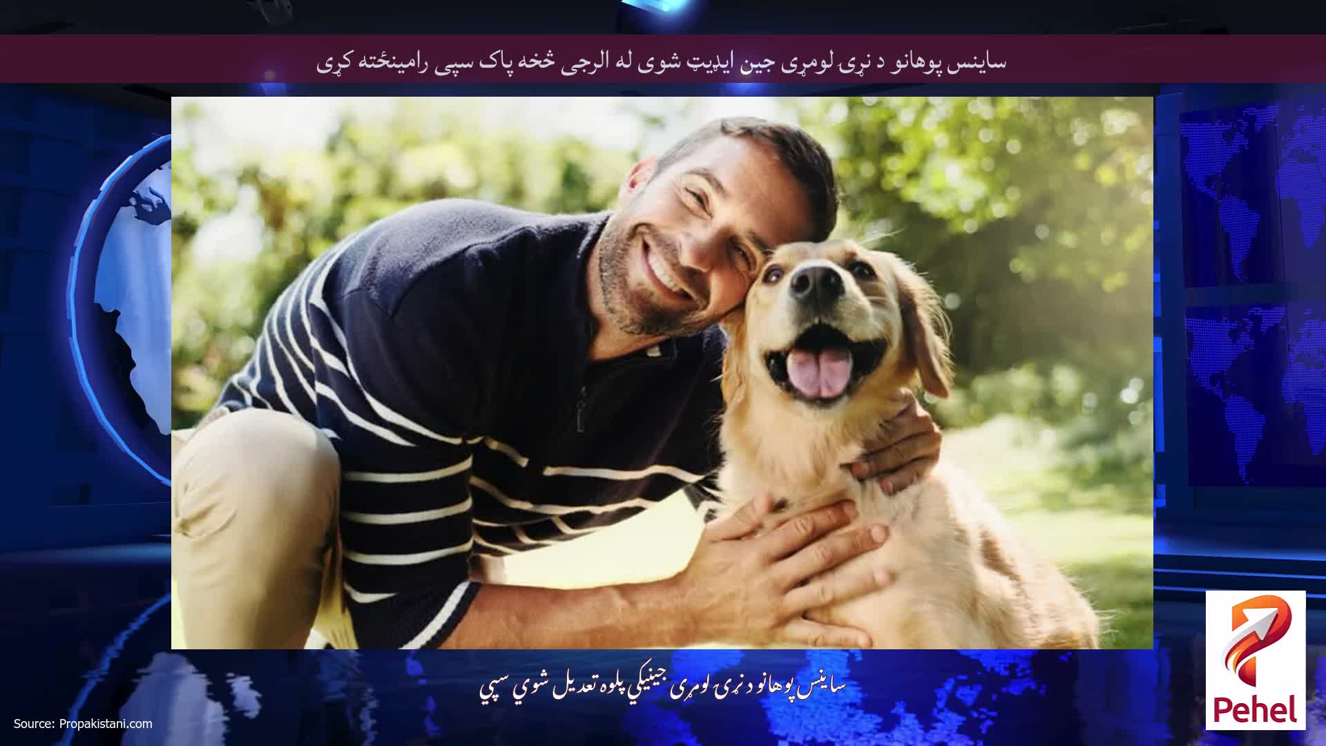 ساینس پوهانو د نړۍ لومړی جین ایډیټ شوی له الرجی څخه پاک سپی رامینځته کړی
