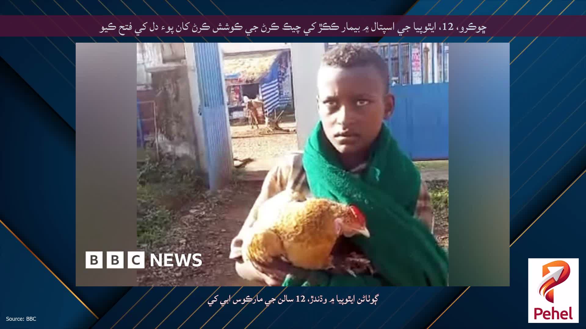 ڇوڪرو، 12، ايٿوپيا جي اسپتال ۾ بيمار ڪڪڙ کي چيڪ ڪرڻ جي ڪوشش ڪرڻ کان پوء دل کي فتح ڪيو