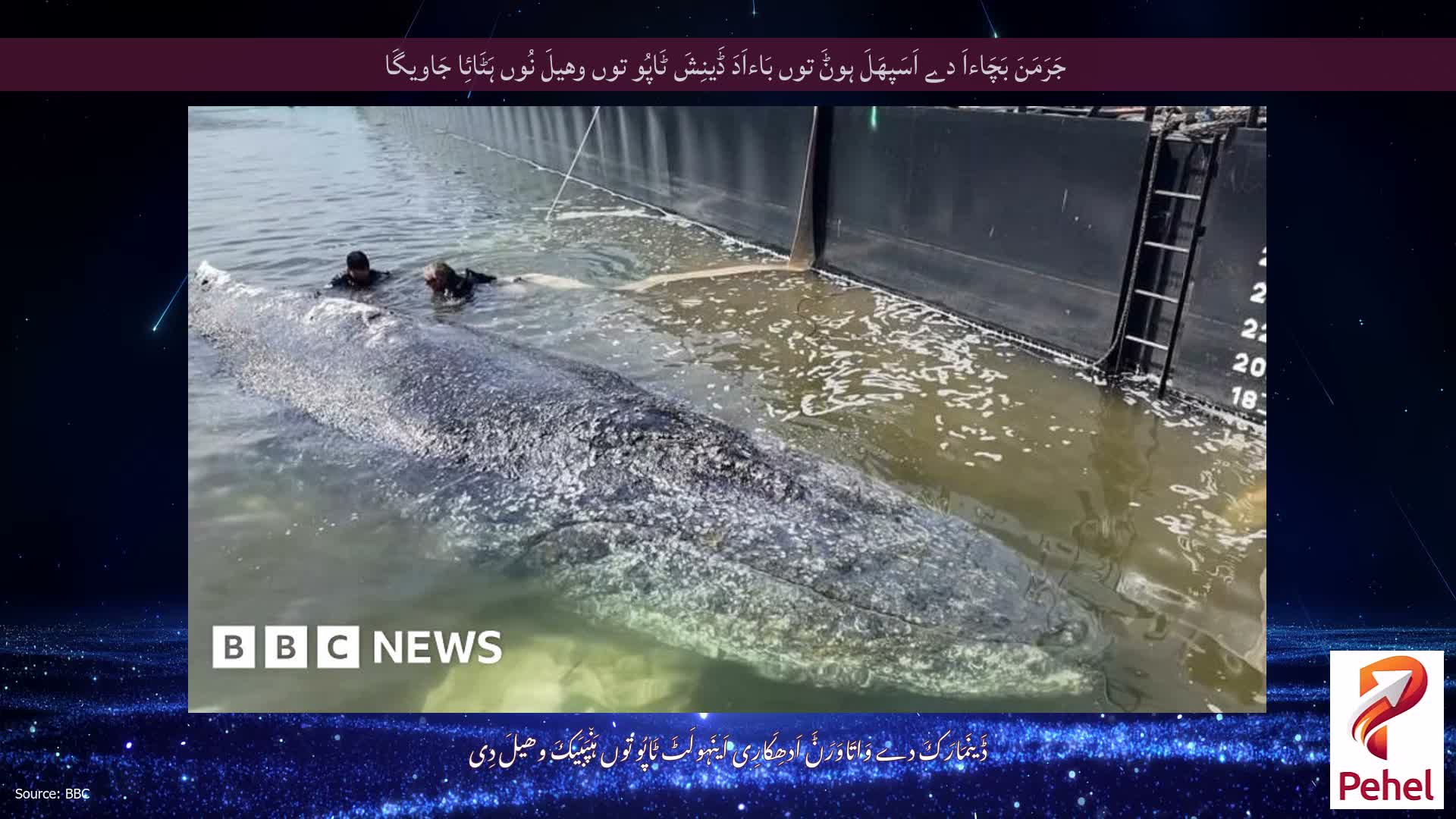 جَرَمَنَ بَچَاءاَ دے اَسَپھَلَ ہوݨَ توں بَاءاَدَ ڈَینِشَ ٹَاپُو توں وھیلَ نُوں ہَٹَائِا جَاویگَا