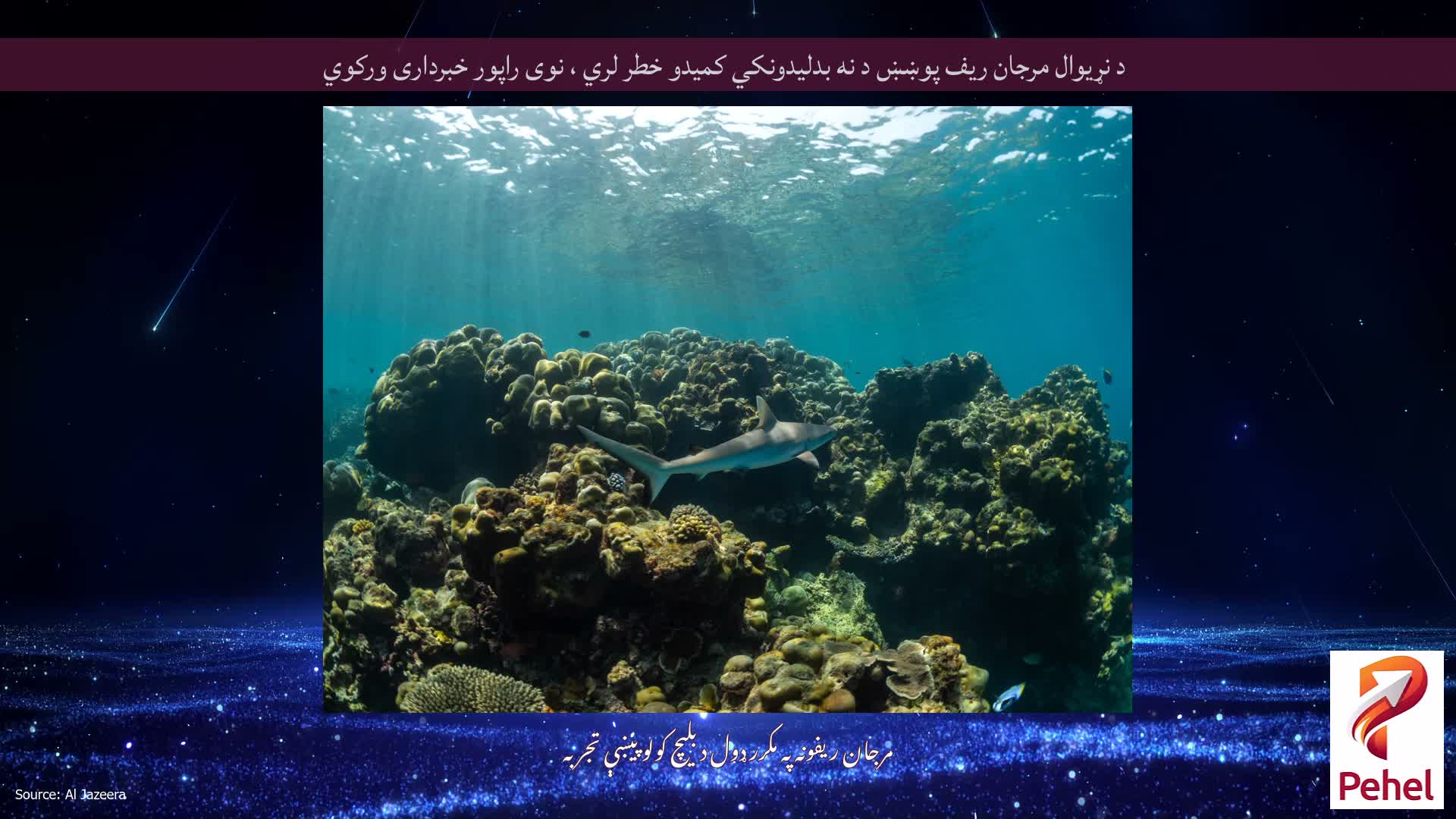 د نړیوال مرجان ریف پوښښ د نه بدلیدونکي کمیدو خطر لري ، نوی راپور خبرداری ورکوي