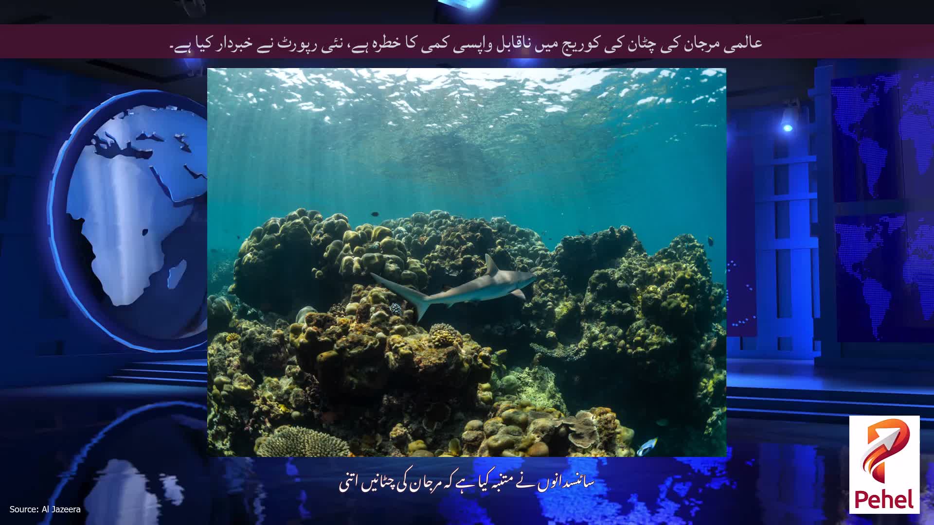 عالمی مرجان کی چٹان کی کوریج میں ناقابل واپسی کمی کا خطرہ ہے، نئی رپورٹ نے خبردار کیا ہے۔