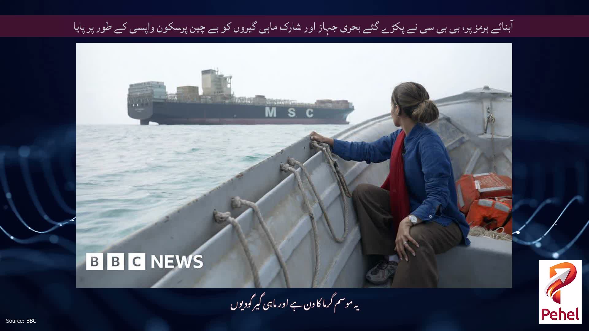 آبنائے ہرمز پر، بی بی سی نے پکڑے گئے بحری جہاز اور شارک ماہی گیروں کو بے چین پرسکون واپسی کے طور پر پایا