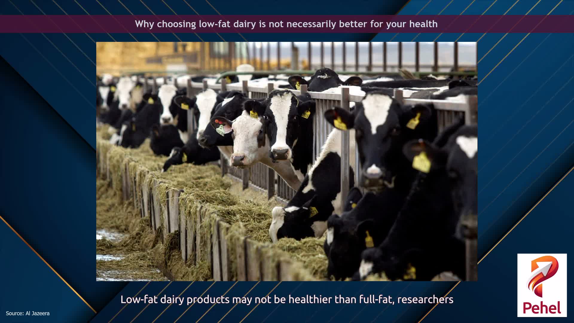 Why choosing low-fat dairy is not necessarily better for your health