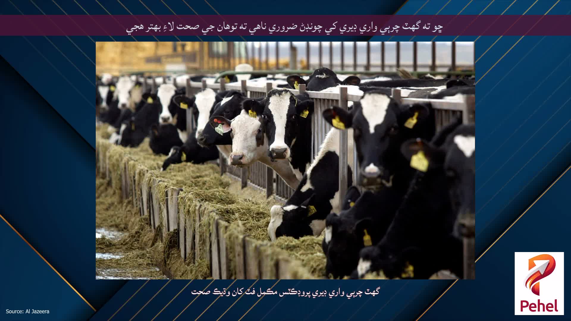ڇو ته گهٽ چرٻي واري ڊيري کي چونڊڻ ضروري ناهي ته توهان جي صحت لاءِ بهتر هجي