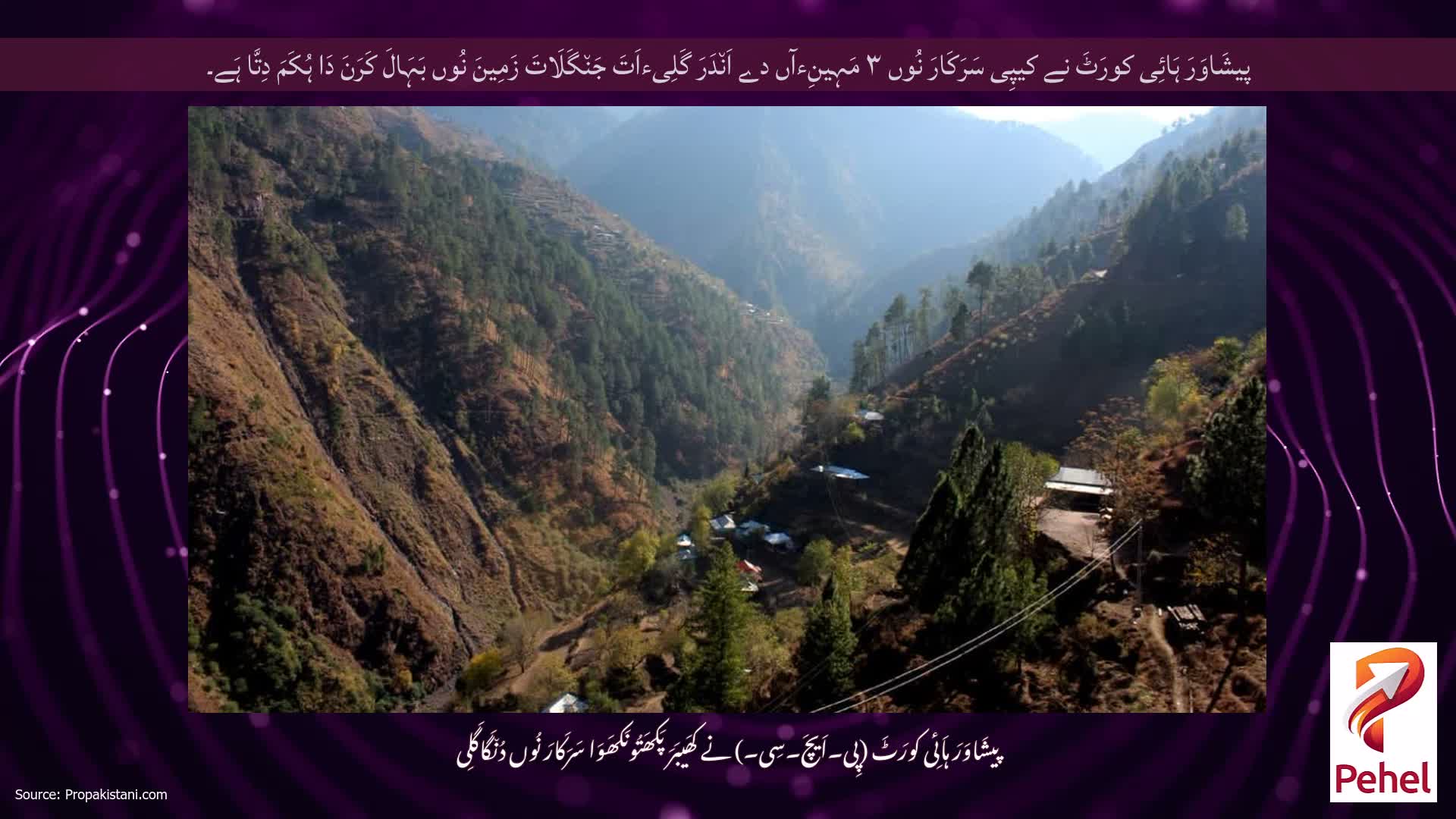 پیشَاوَرَ ہَائِی کورَٹَ نے کیپِی سَرَکَارَ نُوں ۳ مَہِینِءآں دے اَن٘دَرَ گَلِیءاَتَ جَن٘گَلَاتَ زَمِینَ نُوں بَہَالَ کَرَنَ دَا ہُکَمَ دِتَّا ہَے۔